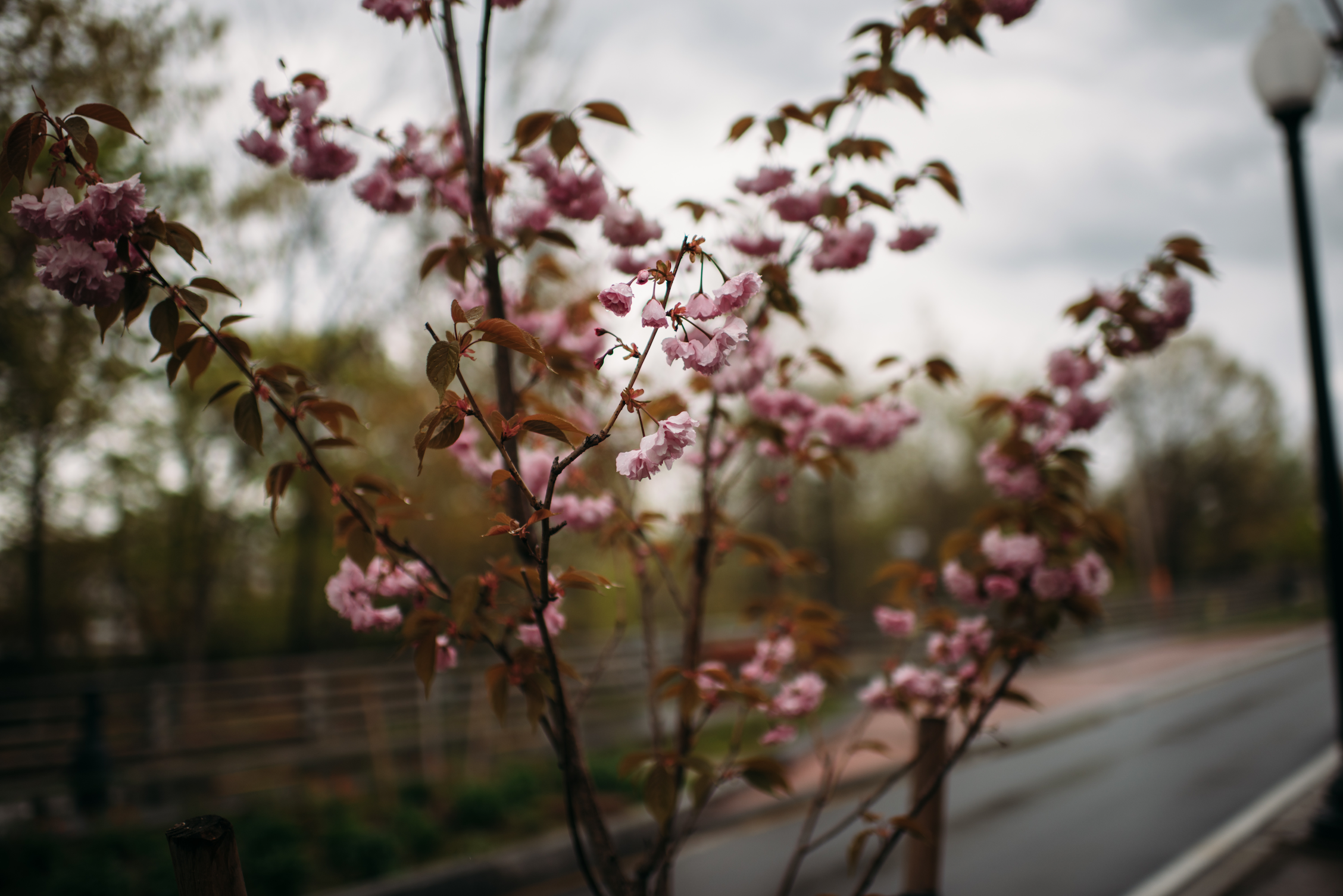 OV-2026-SPRING-EXTERIORS-MAEVE-050226-9.png