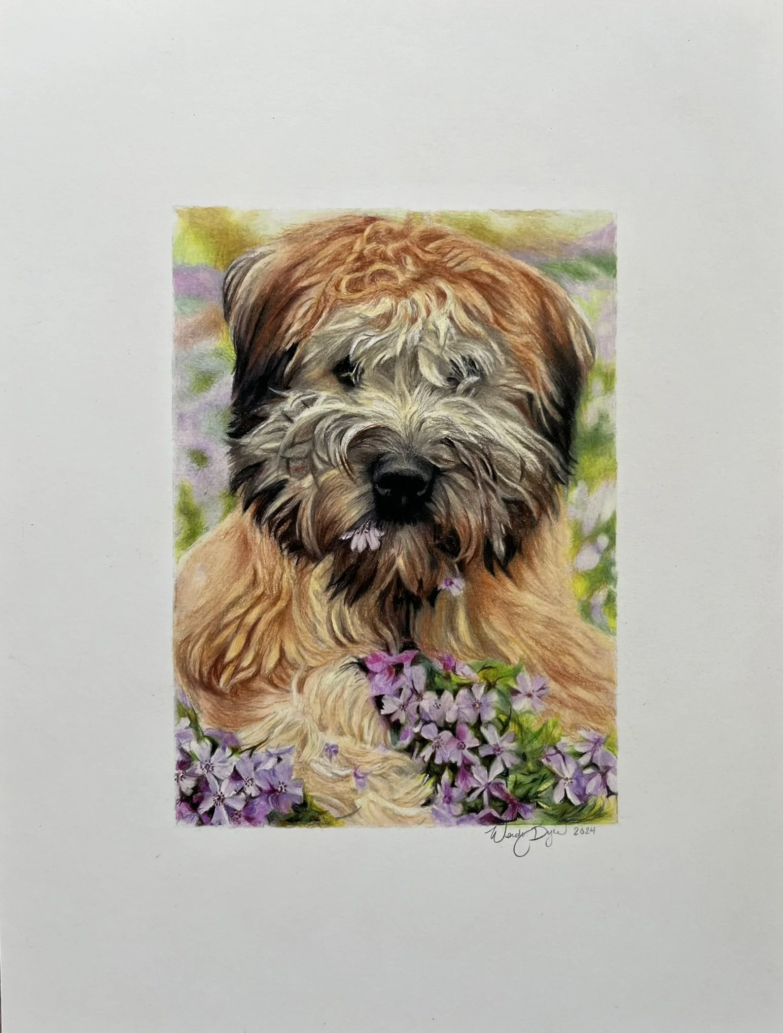 wheaten-terrier-puppy-in-flowers-colored-pencil-portrait-photorealism-cute.JPEG