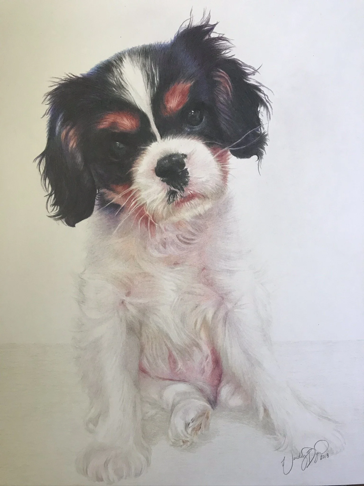 puppy-portrait-cavalier-king-charles-colored-pencil-drawing-spaniel.JPEG