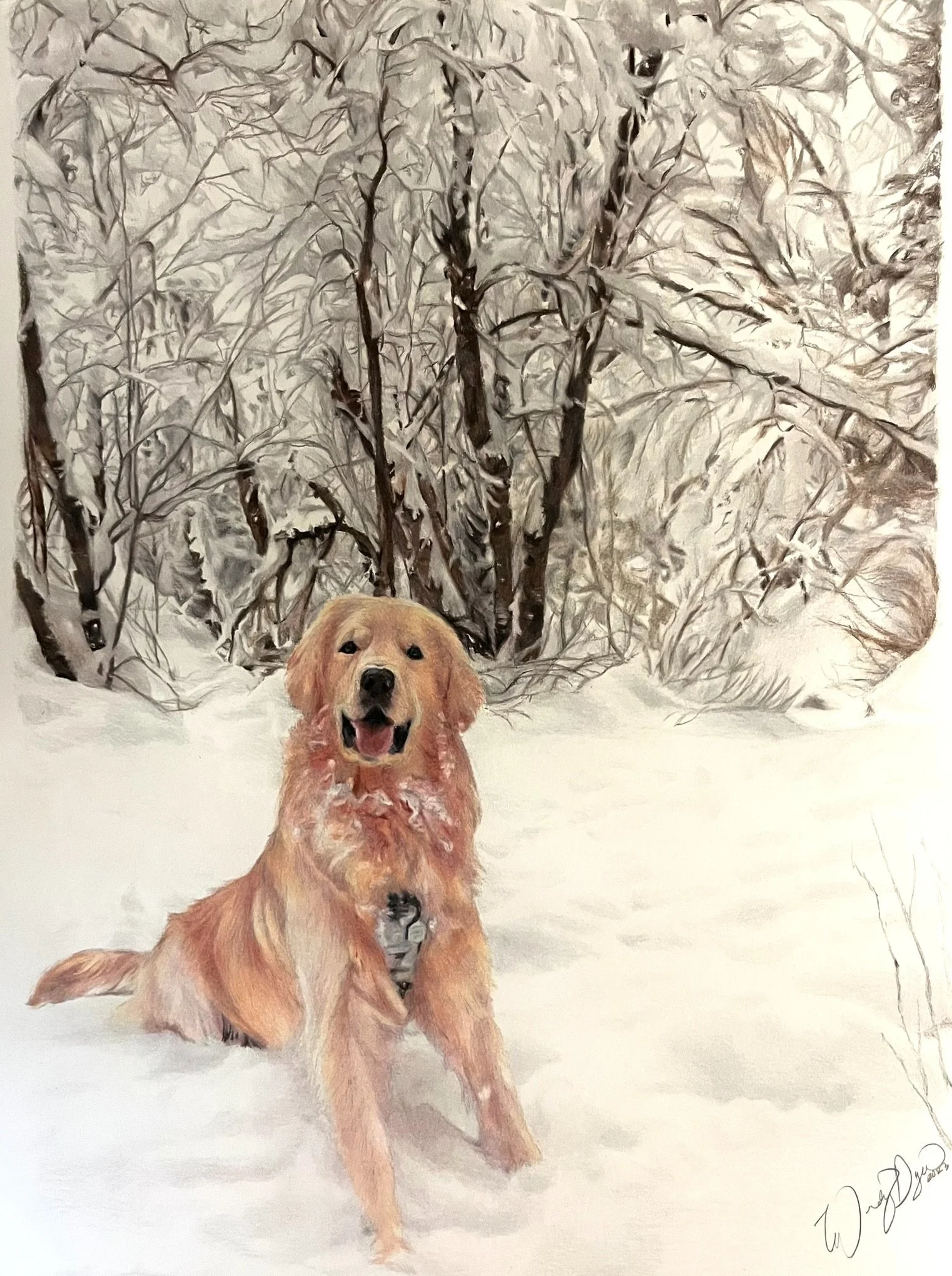 golden-retriever-in-snow-drawing-colored-pencil-portrait-photorealism-commission.jpg