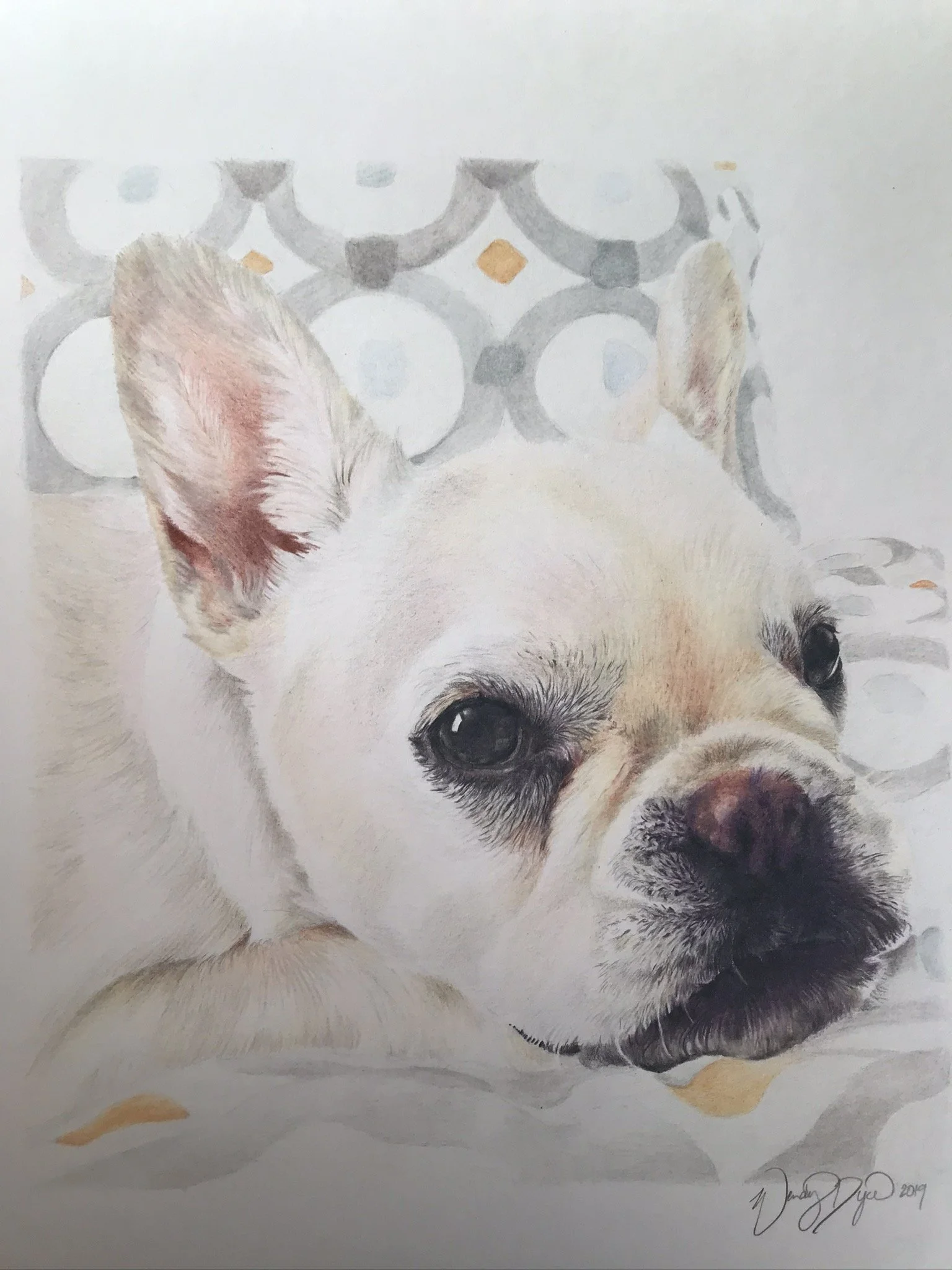 white-french-bulldog-frenchie-dog-art-photorealistic-drawing-colored-pencil-portrait.JPEG