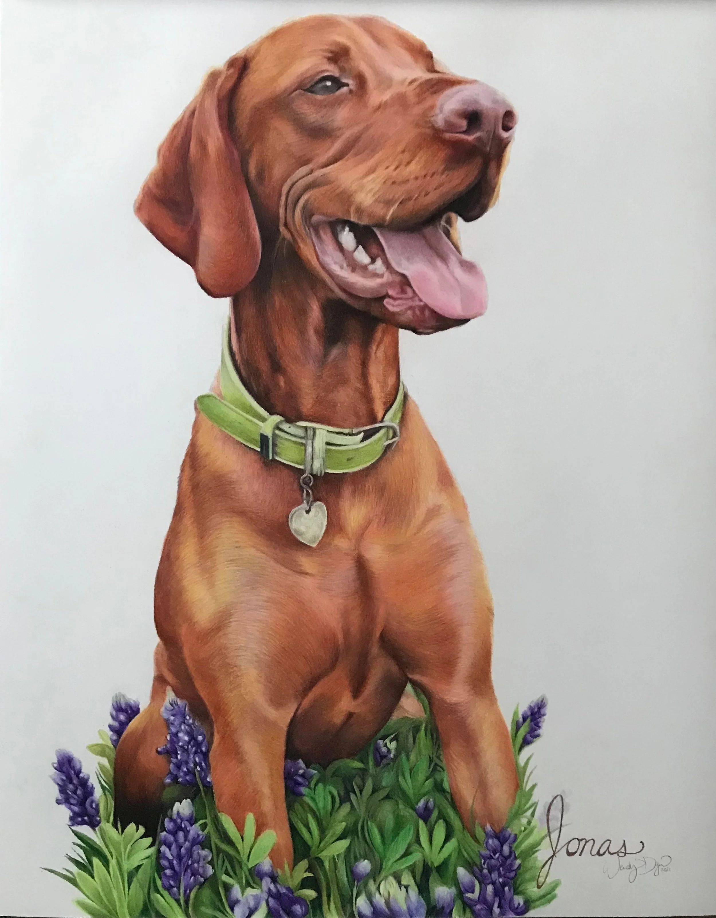 vizsla-in-bluebonnets-colored-pencil-portrait-dog-drawing-photorealistic.jpg