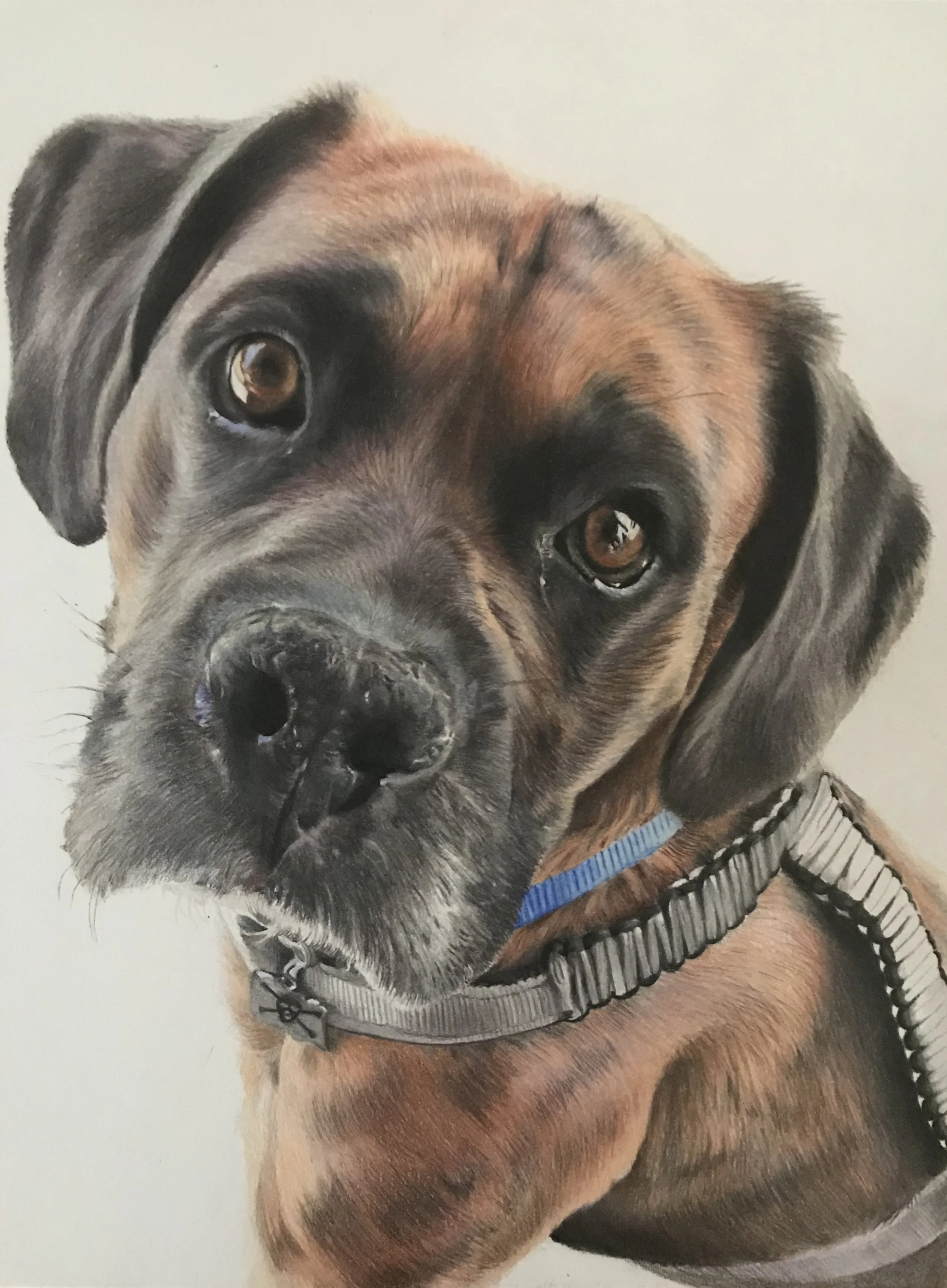 Photorealistic-photorealism-dog-drawing-portrait.jpg