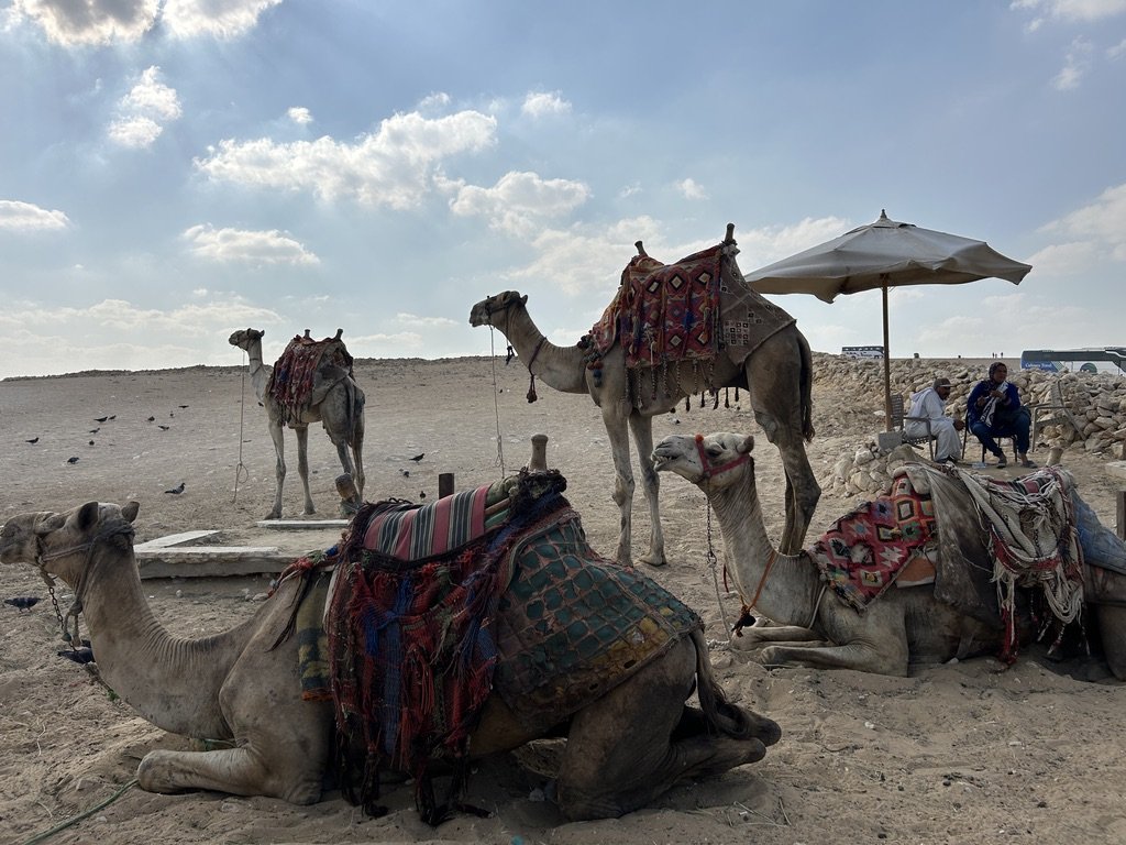 TDJ_Egypt_Trip_Photos-59.jpeg