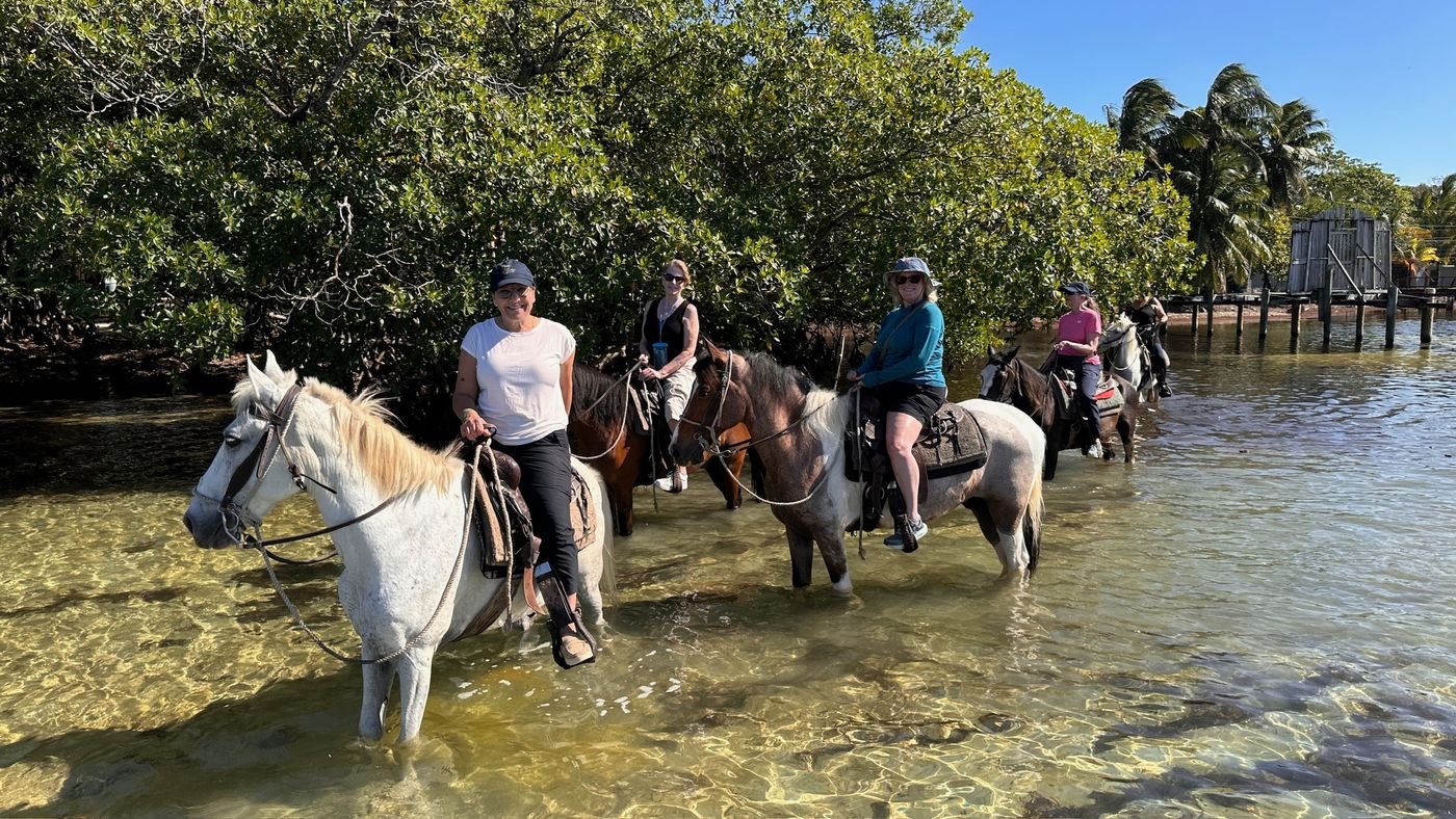 Horseback through the shallows
