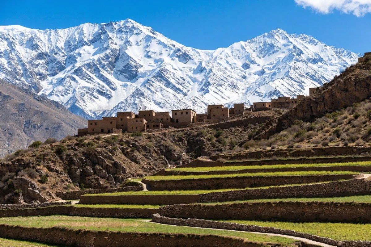 A Berber village above terraced fields with the snow-capped High Atlas behind