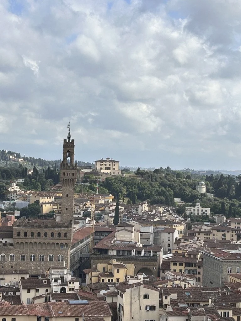 Florence skyline with Palazzo Vecchio tower from above