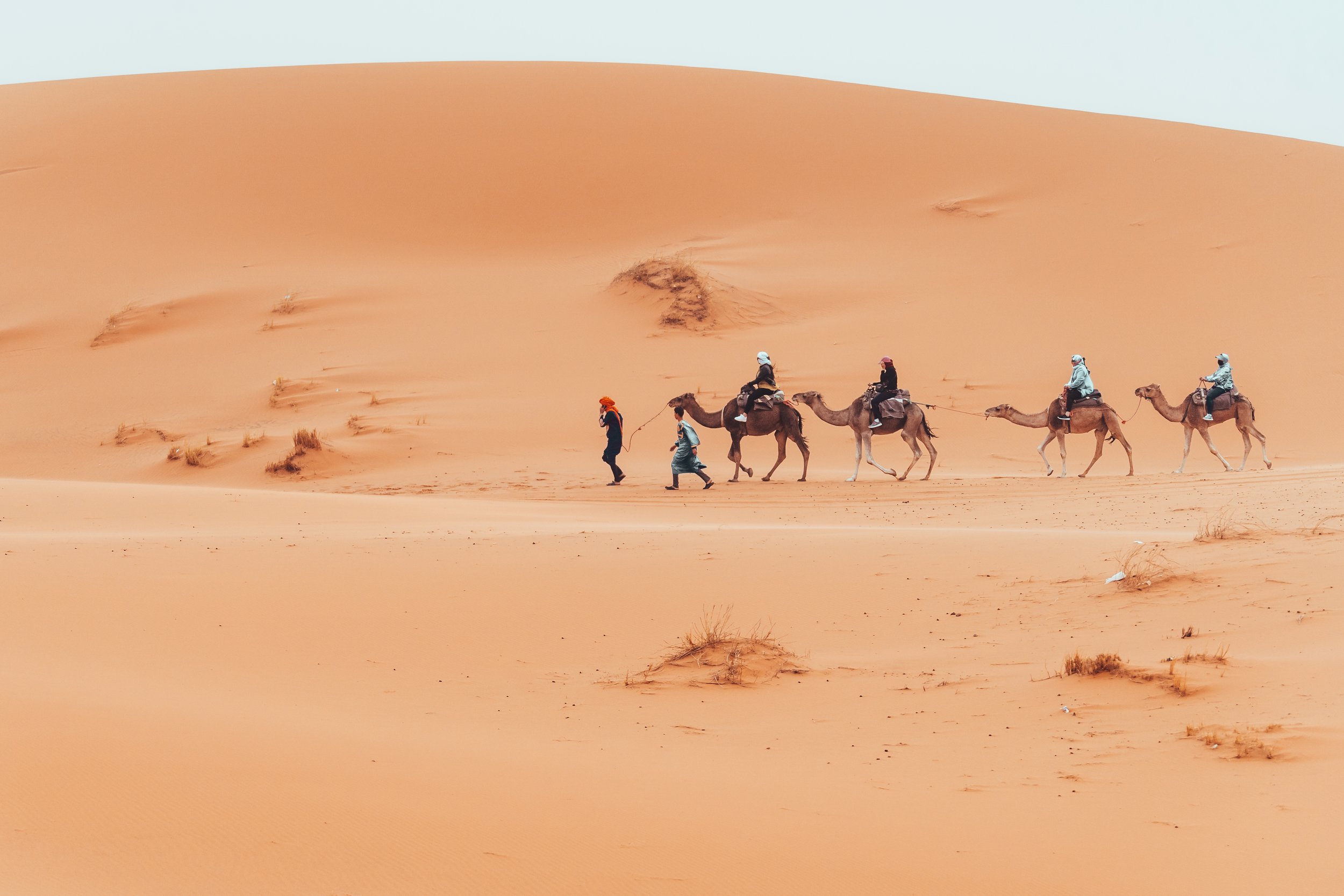 TDJ_Morocco_Stock-camel-trek-with-tourists-through-the-sahara-desert-2025-03-05-15-14-54-utc.jpg