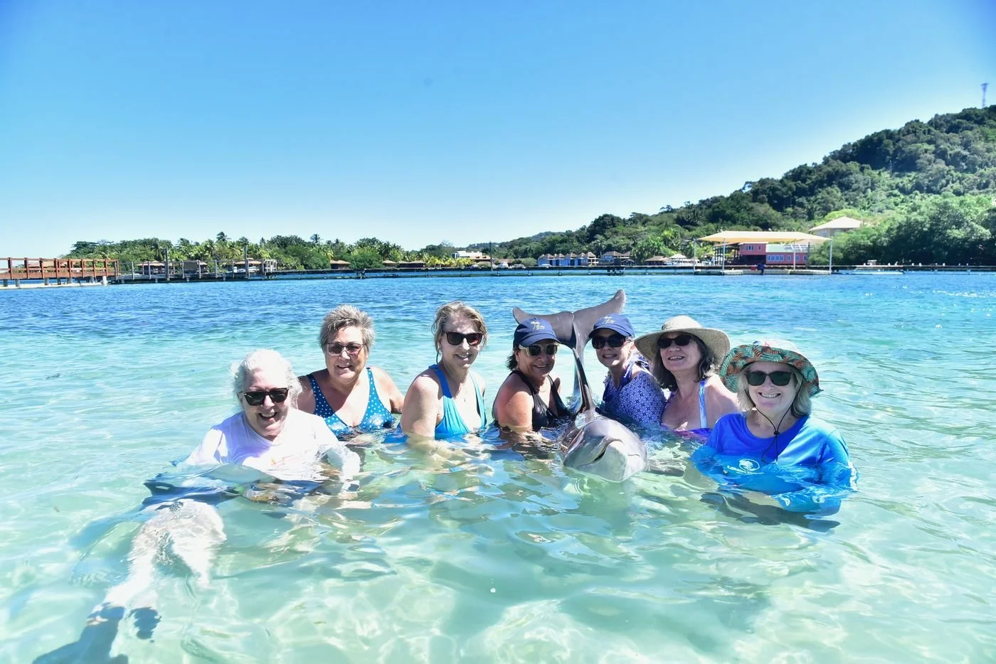 roatan-dolphin-encounter.jpg