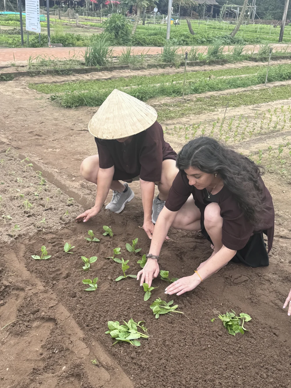 Two travelers planting seedlings in a garden bed with a local farmer