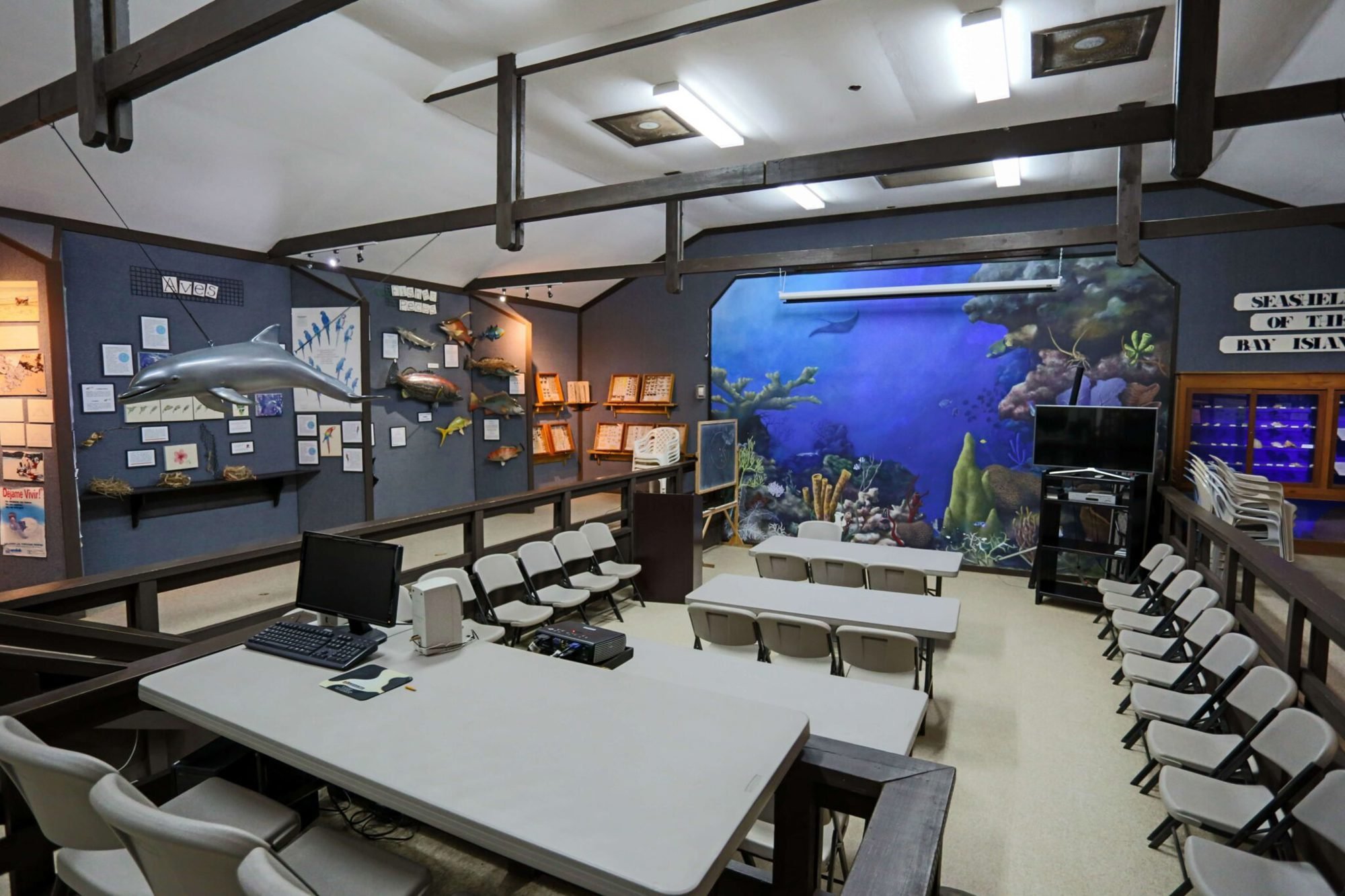 Roatan-Travefy-Photos_9.jpg