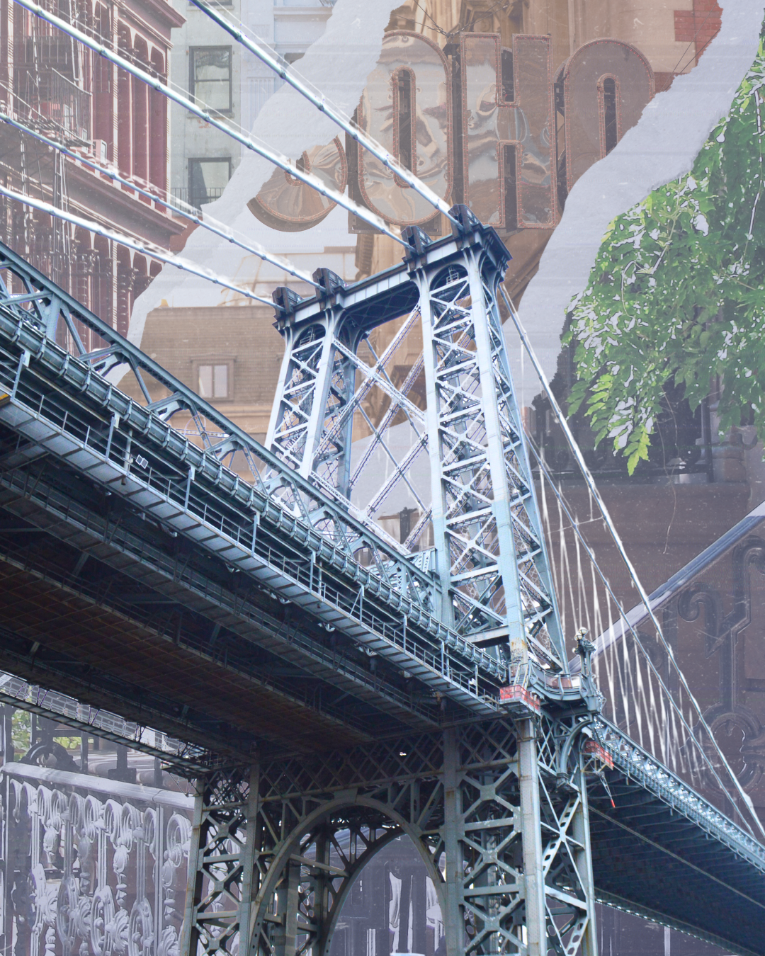 SOHO_LES Main.png