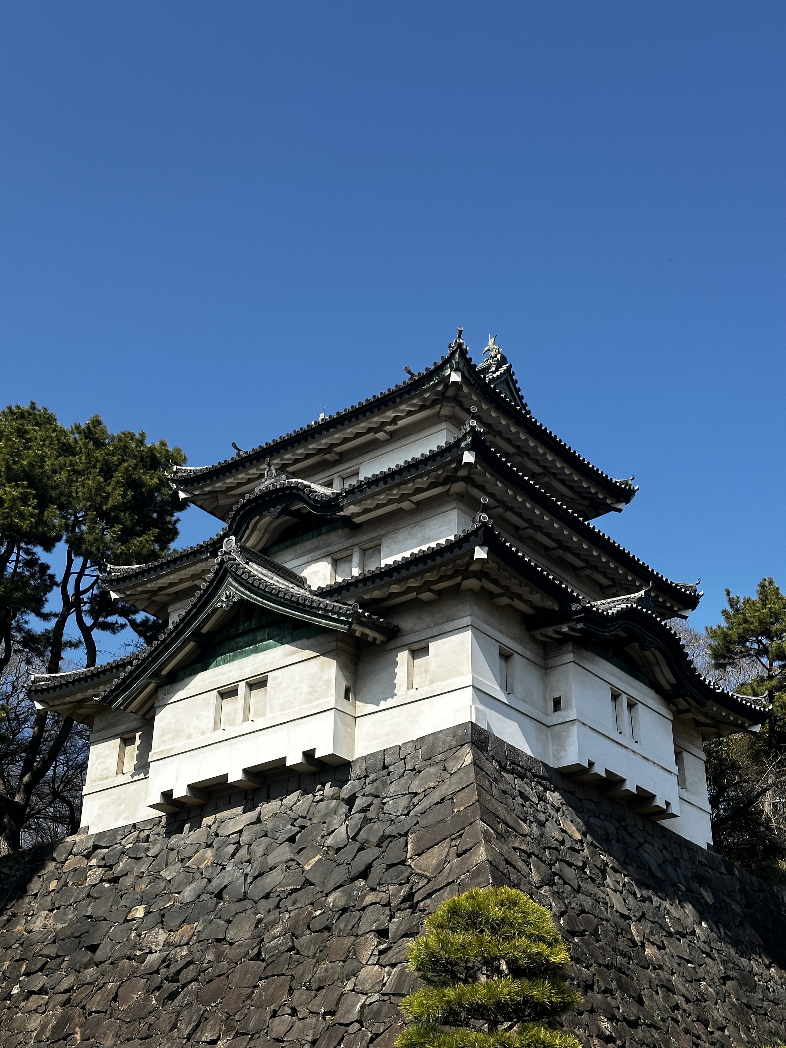TDJ Japan Trip Photos17.jpeg