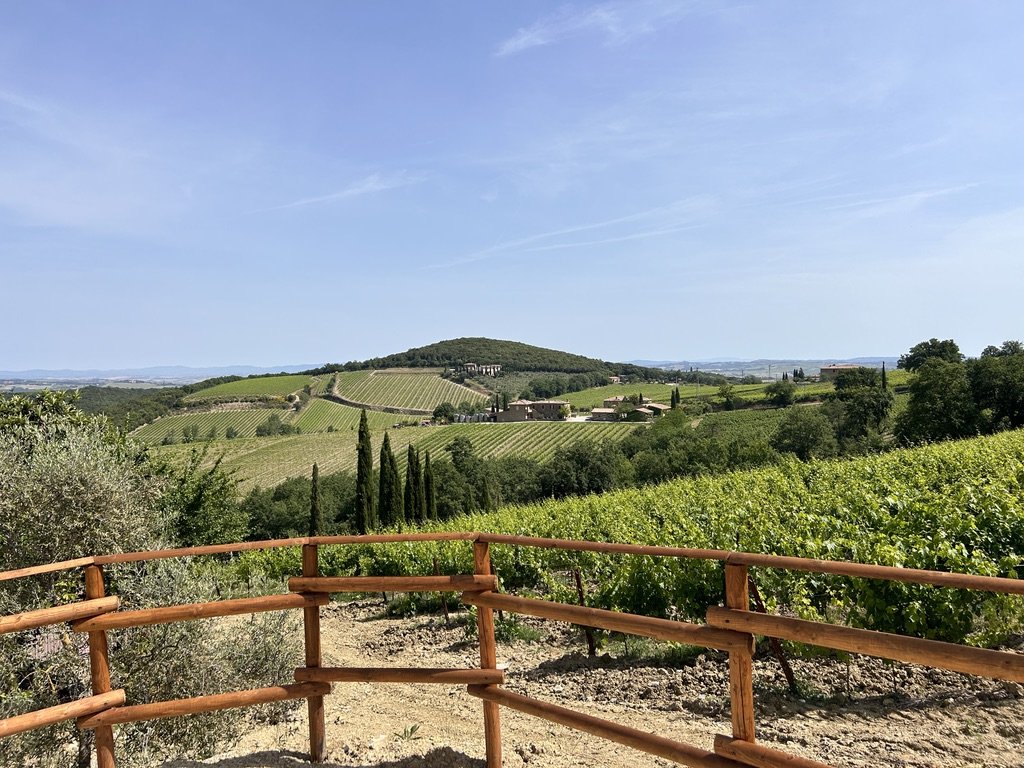 Tuscany-Photos-All-TDJ--80.jpeg