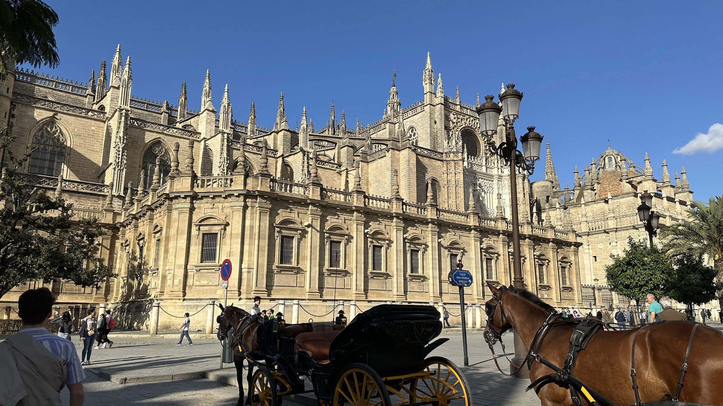 Spain-Photos-All-TDJ-2025-77.jpeg