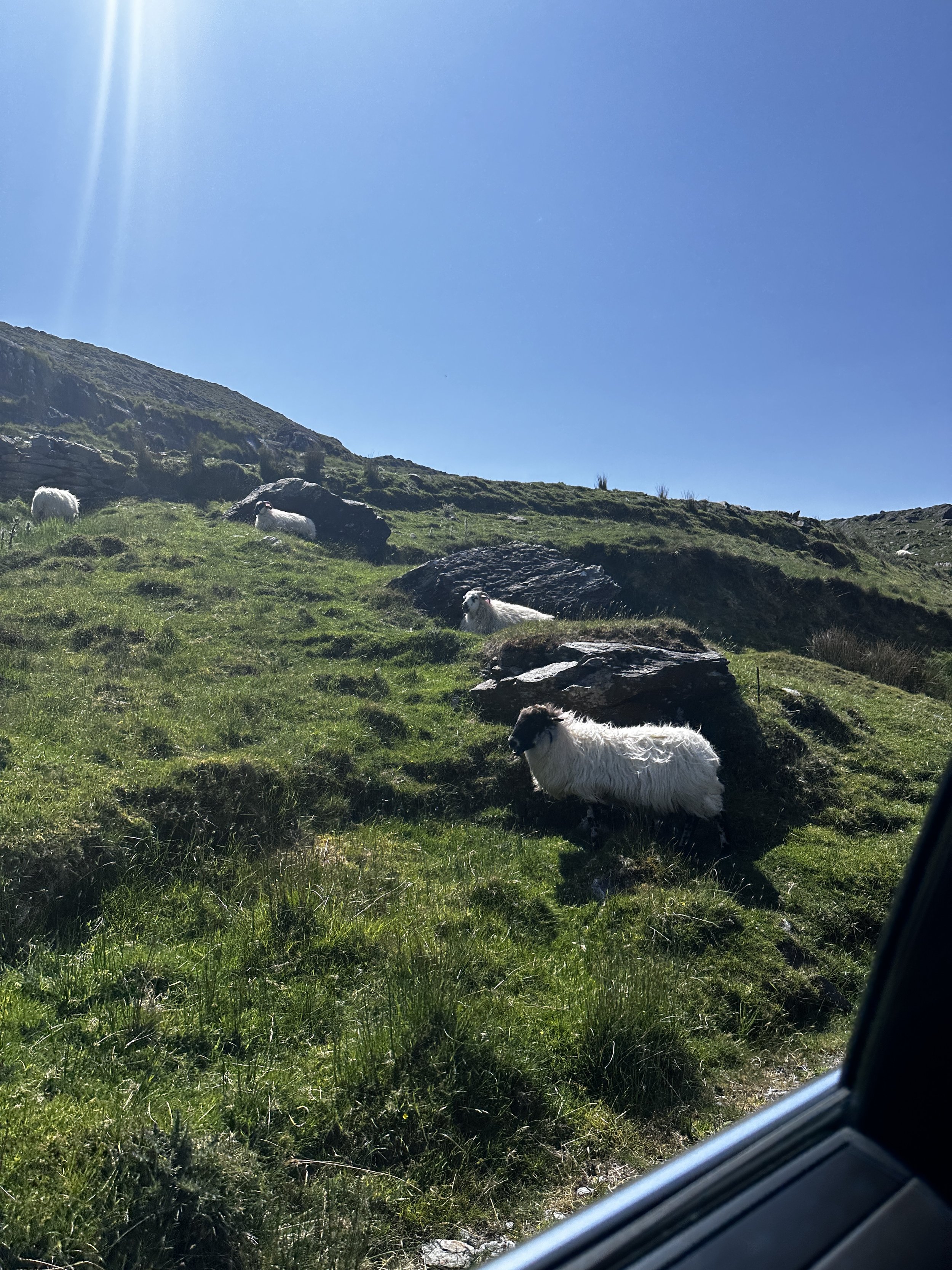 TDJ Ireland Trip Photos13.jpeg