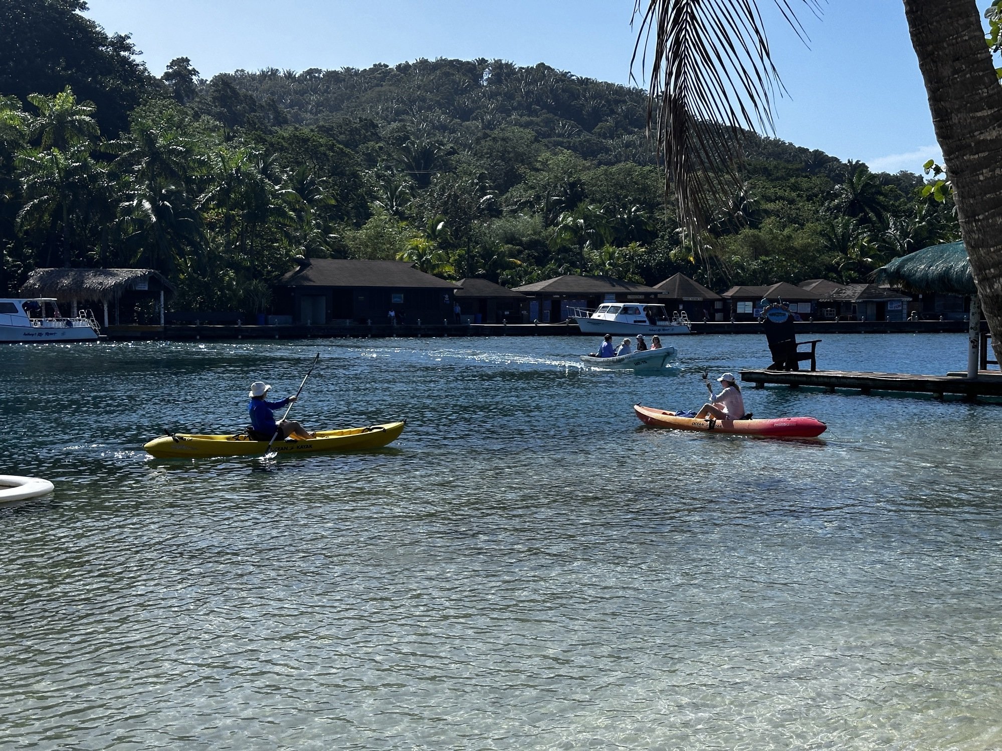 Roatan-Travefy-Photos_8.jpg
