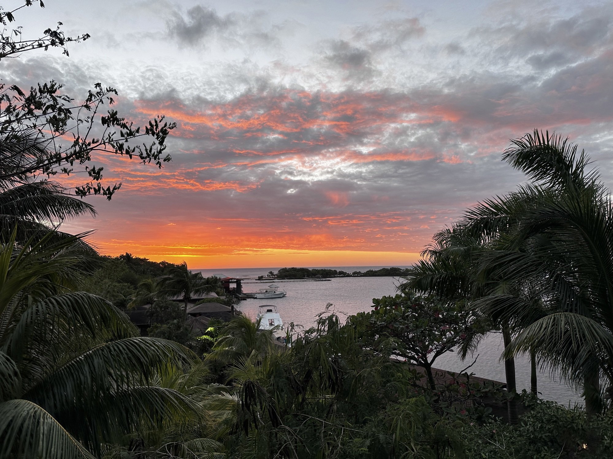 Roatan-Travefy-Photos_5.jpg