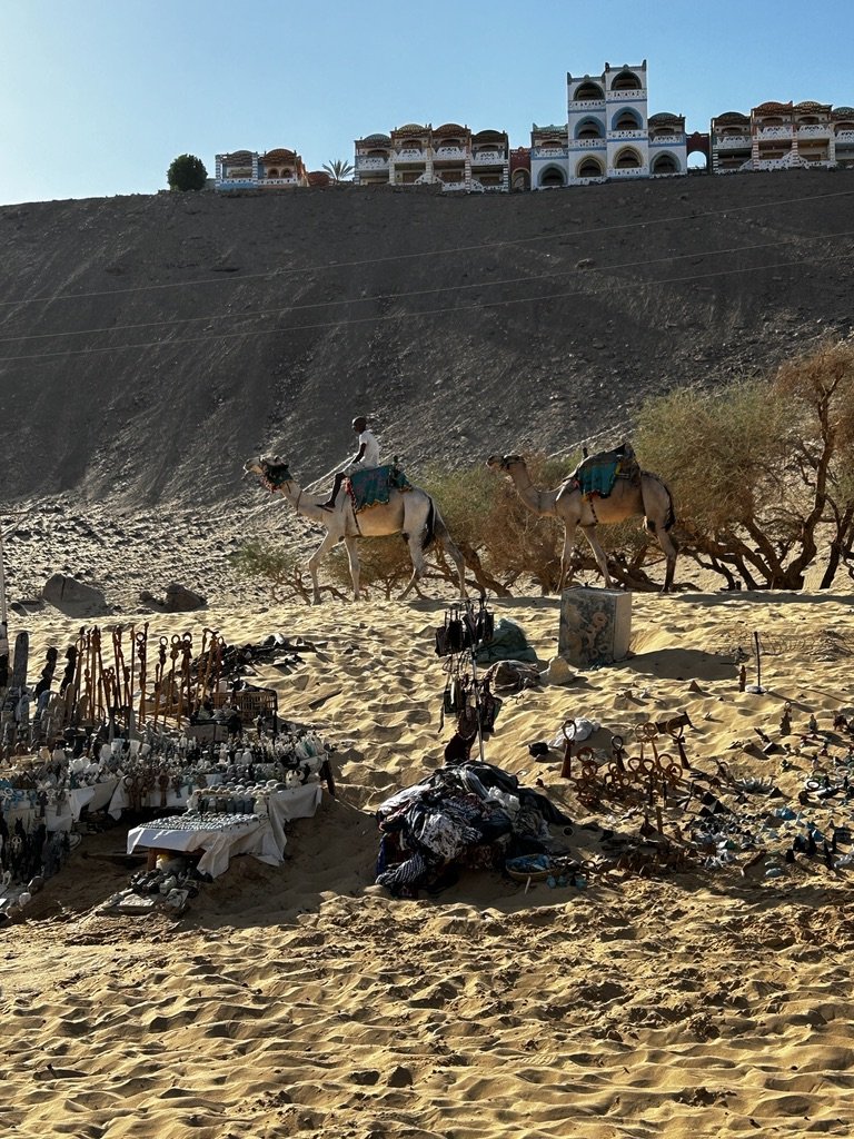 TDJ_Egypt_Trip_Photos-76.jpeg