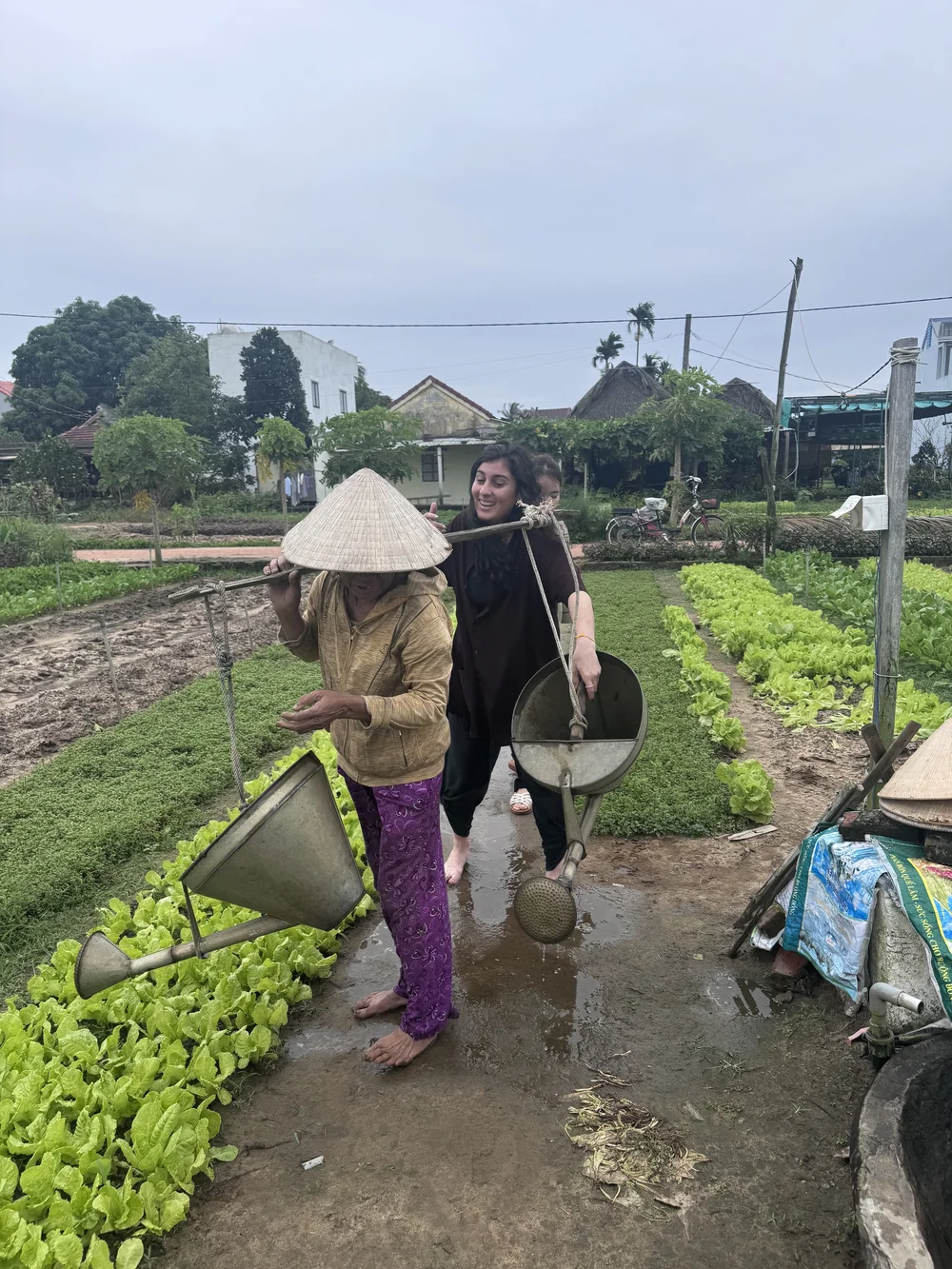People working in a vegetable garden in Tra Que village