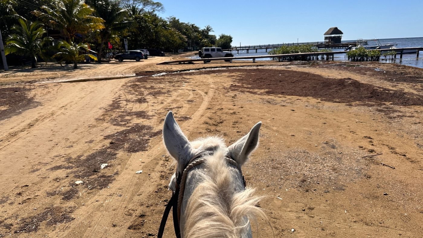 Beach ride, front-row seat