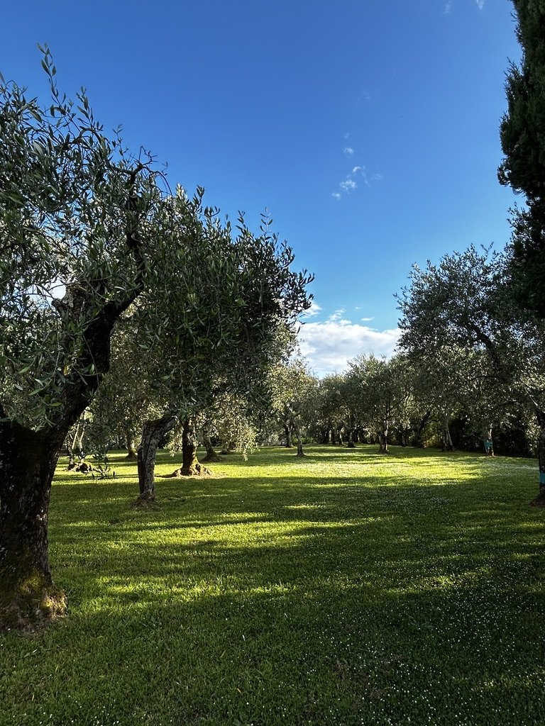 Tuscany-Photos-All-TDJ--15.jpeg