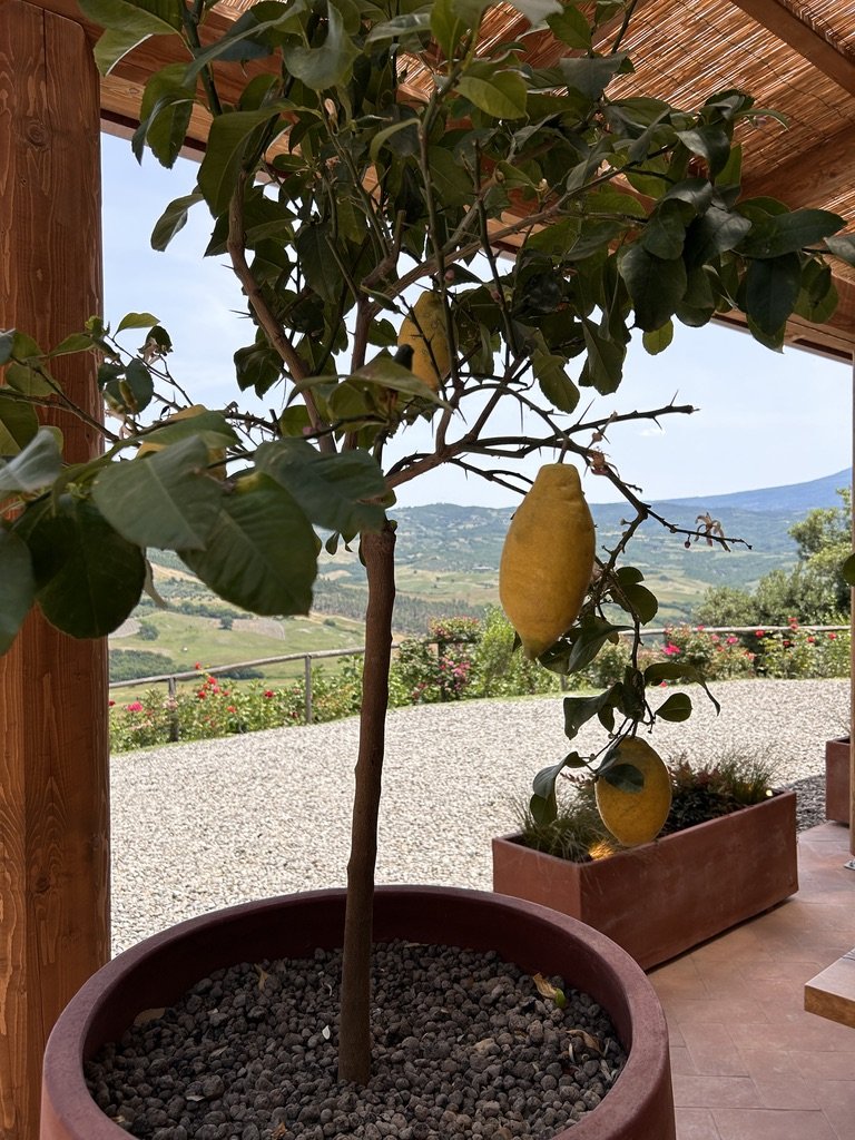 Tuscany-Photos-All-TDJ--32.jpeg