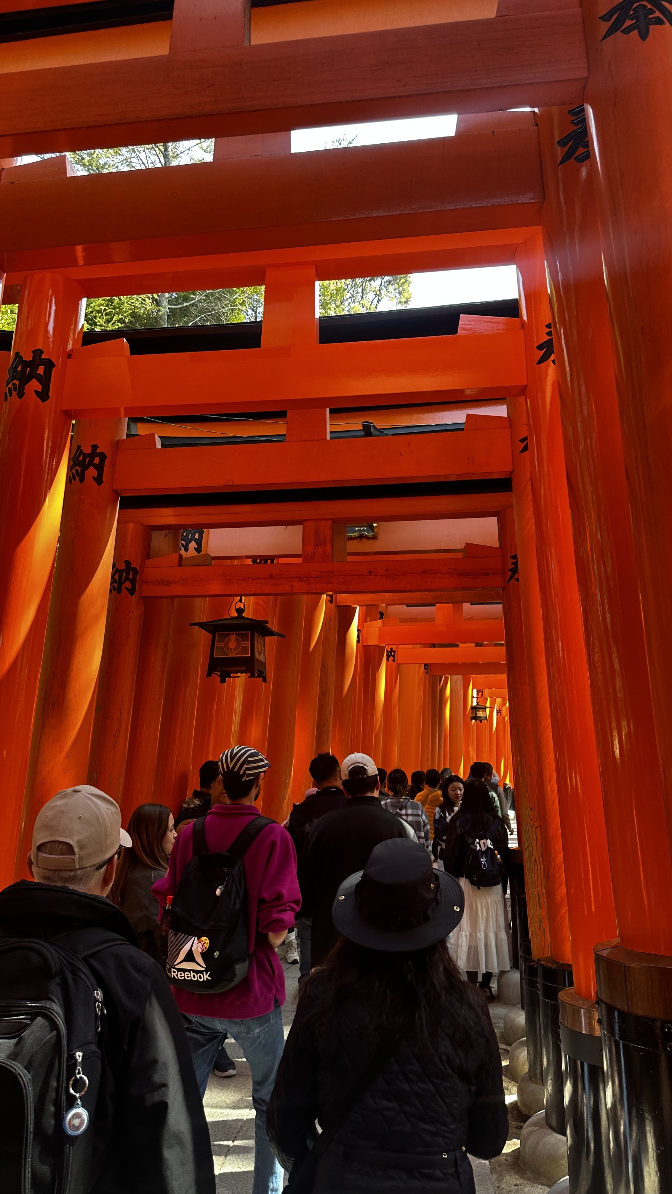 TDJ Japan Trip Photos23.jpeg