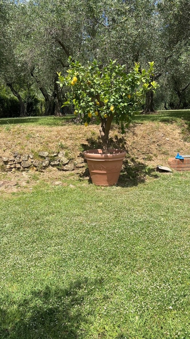 Tuscany-Photos-All-TDJ--74.jpeg