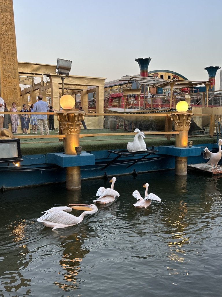TDJ_Egypt_Trip_Photos-7.jpeg