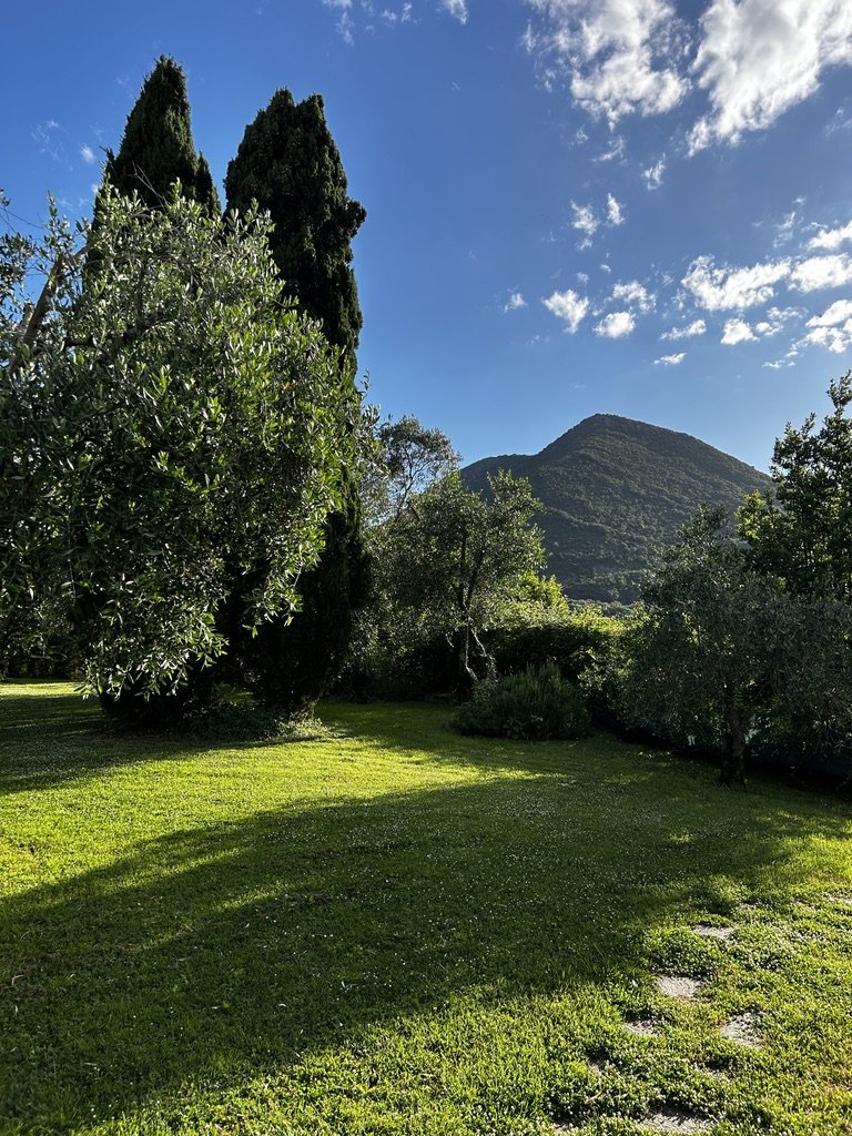 Tuscany-Photos-All-TDJ--81.jpeg