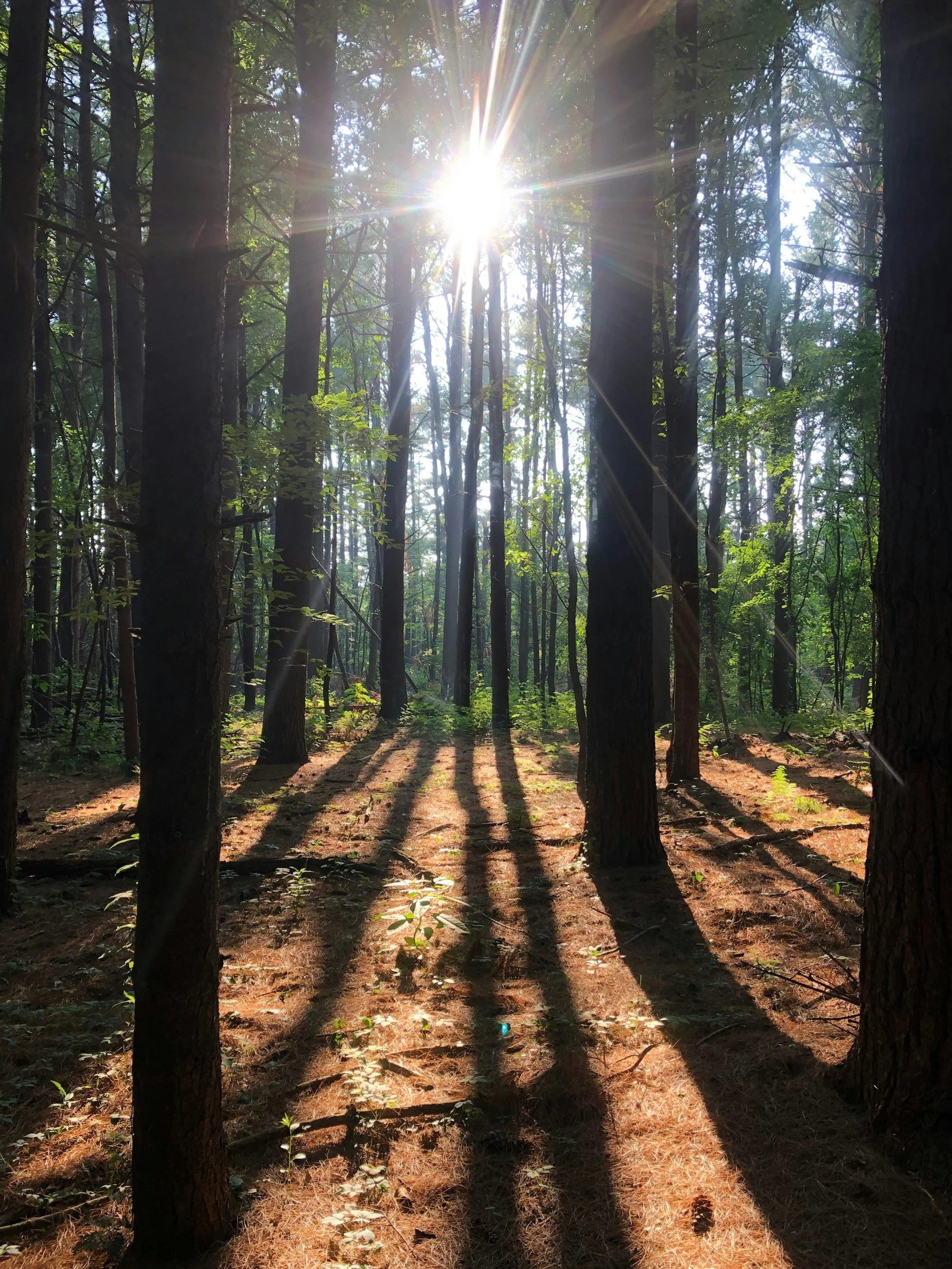 Why EMDR Works When You’ve Tried Therapy Before and Felt Stuck