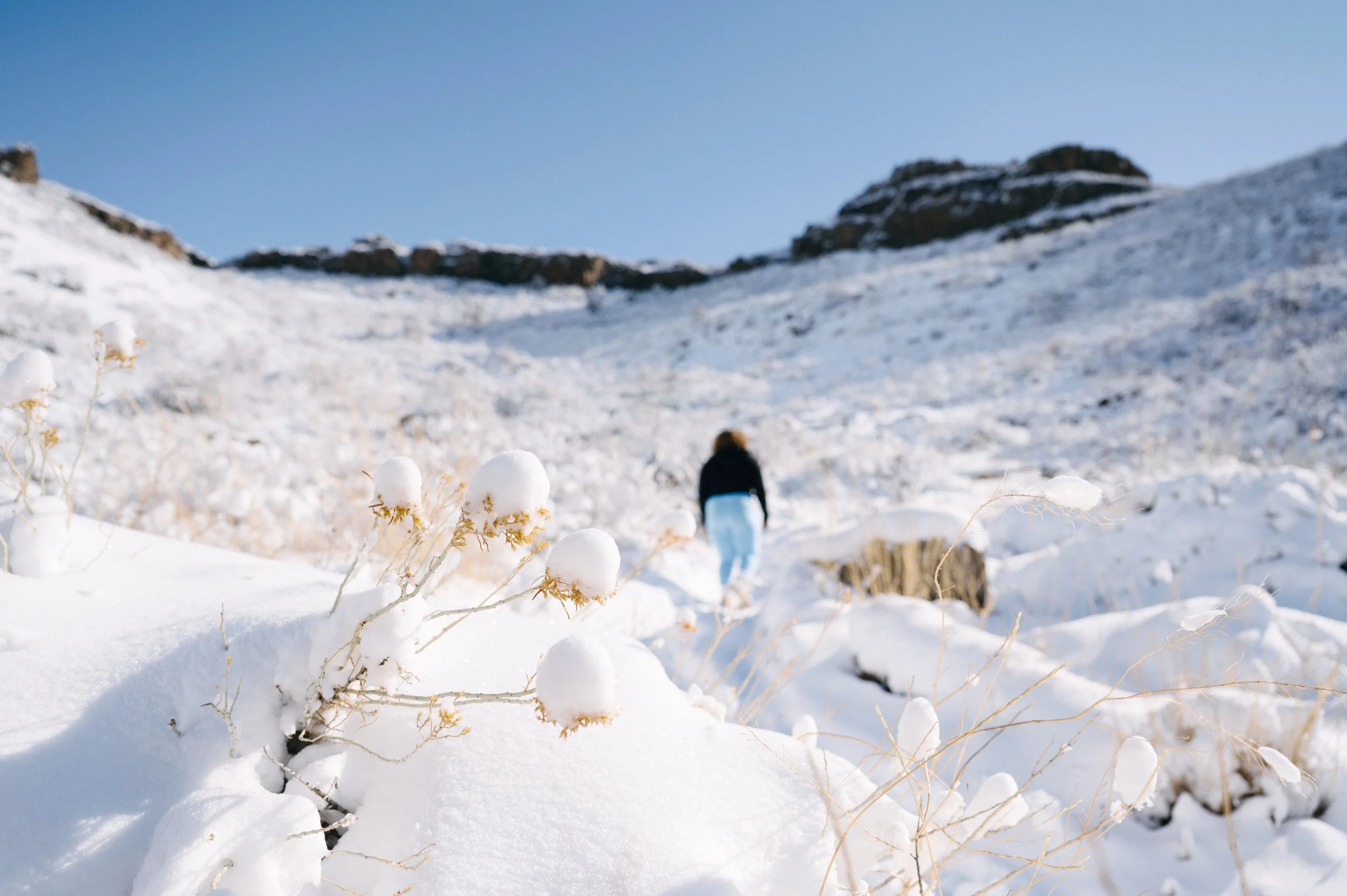 ICONI_Spec Shoot-8.jpg