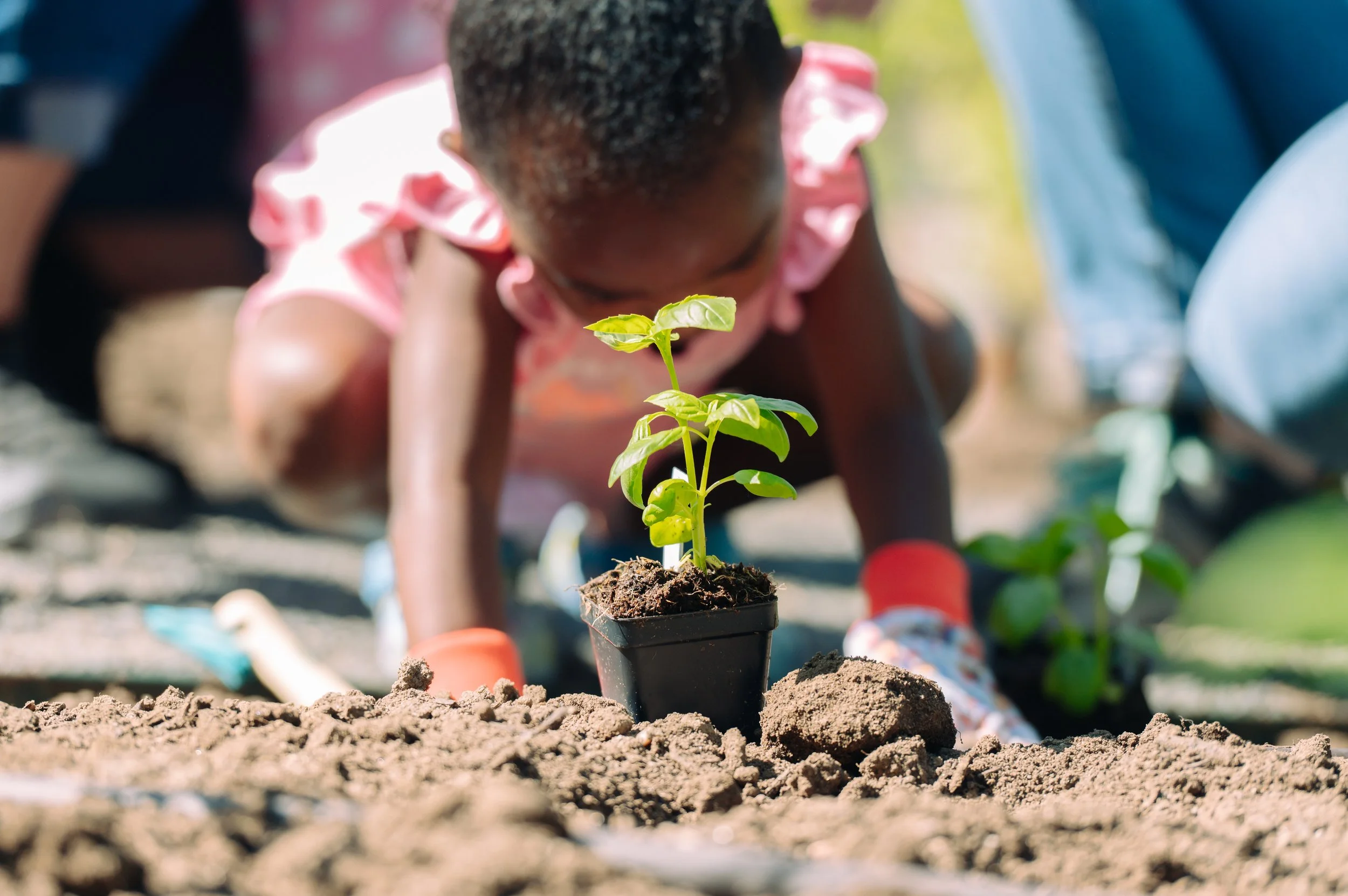 Designscapes Colorado - Clayton Early Learning-63.jpg