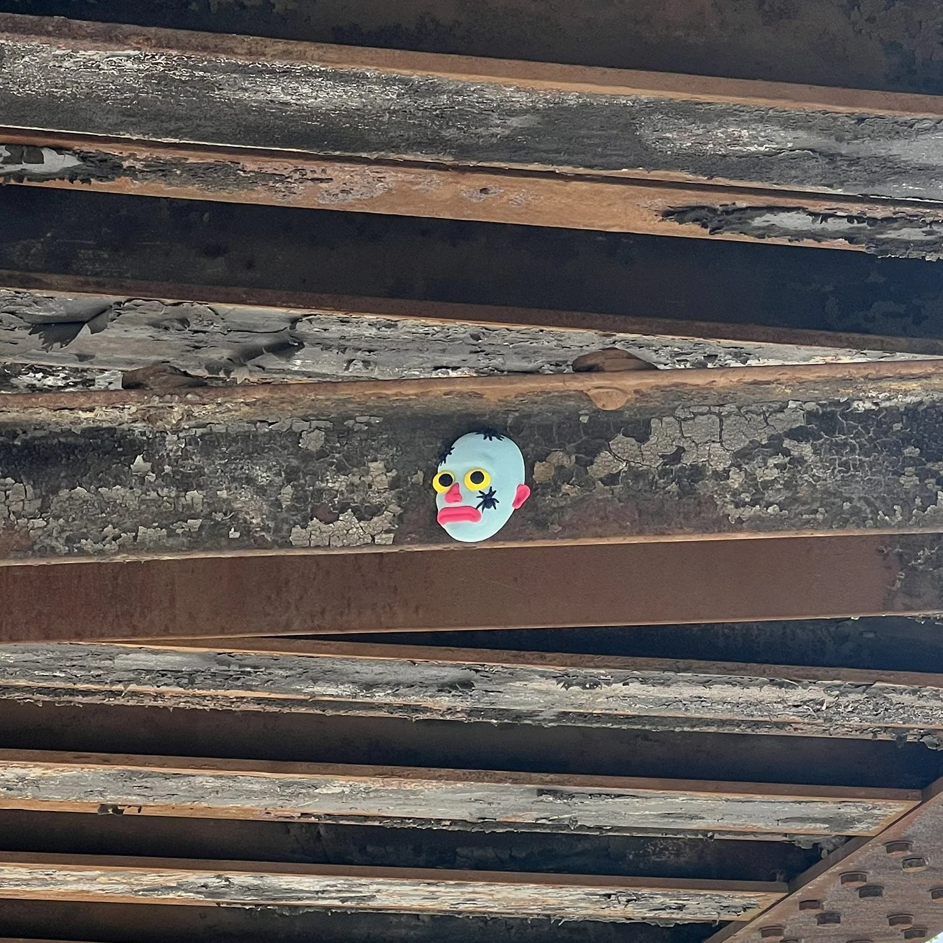 HeadsOfEd_SpiderFace_location3sm.jpg