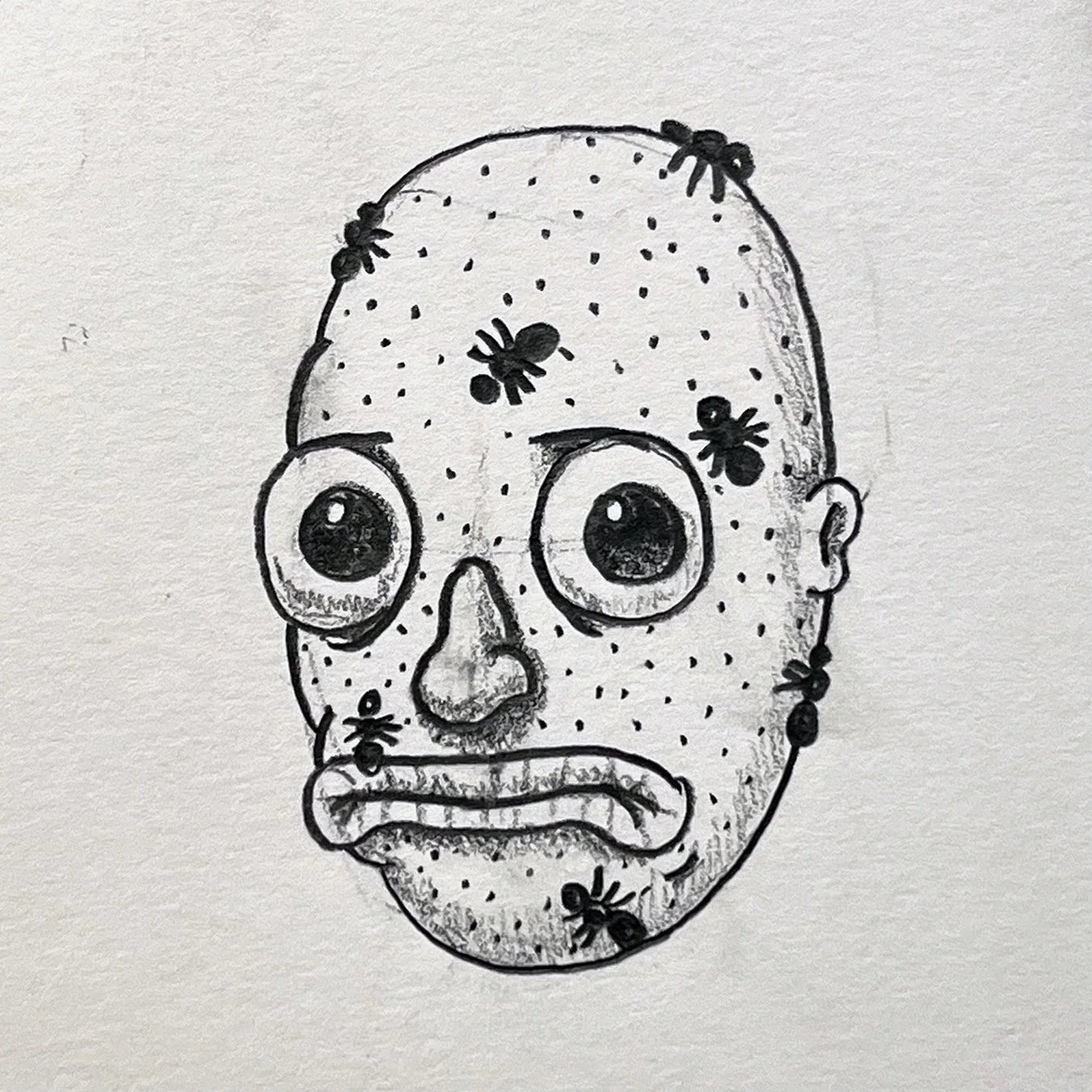 HeadsOfEd_SpiderFace_sketchsm.jpg