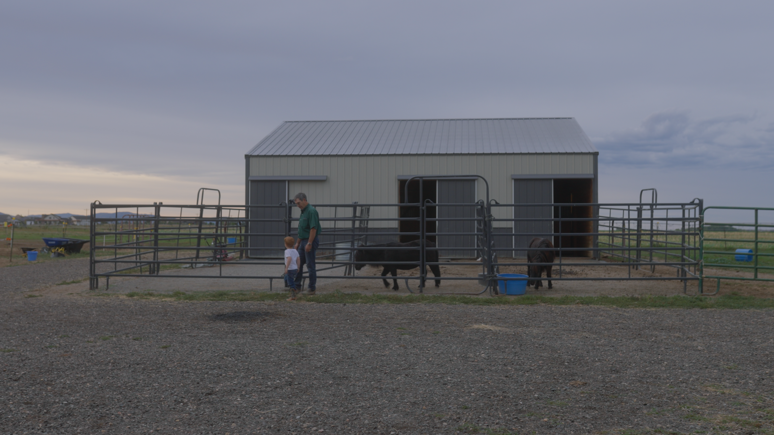 A man and child outside a barn with two small horses, fenced enclosures, and overcast sky.