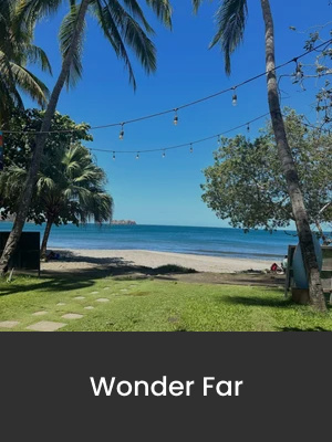 A tropical beach scene with palm trees, string lights, sandy shore, and calm ocean under a clear blue sky.