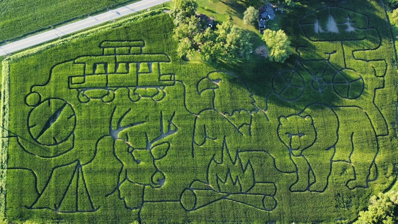 2022 Corn Maze