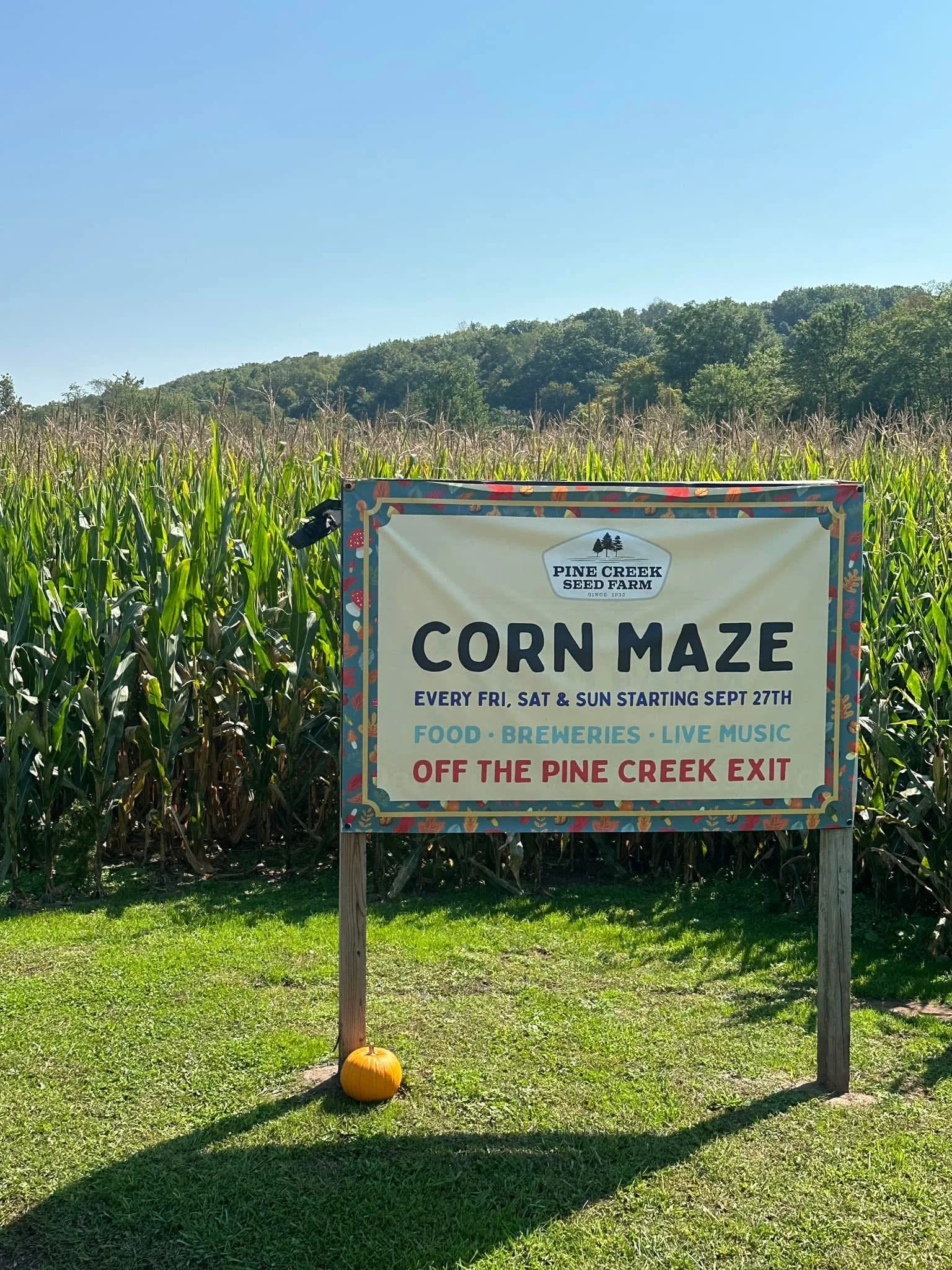 Signboard advertising Pine Creek Seed Farm's corn maze event occurring every Friday, Saturday, and Sunday starting September 27th, featuring food, breweries, and live music, located off the Pine Creek exit, with a pumpkin at the bottom of the sign.