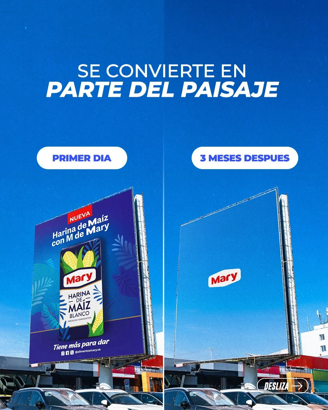 PRN_EDITABLE_03.jpg