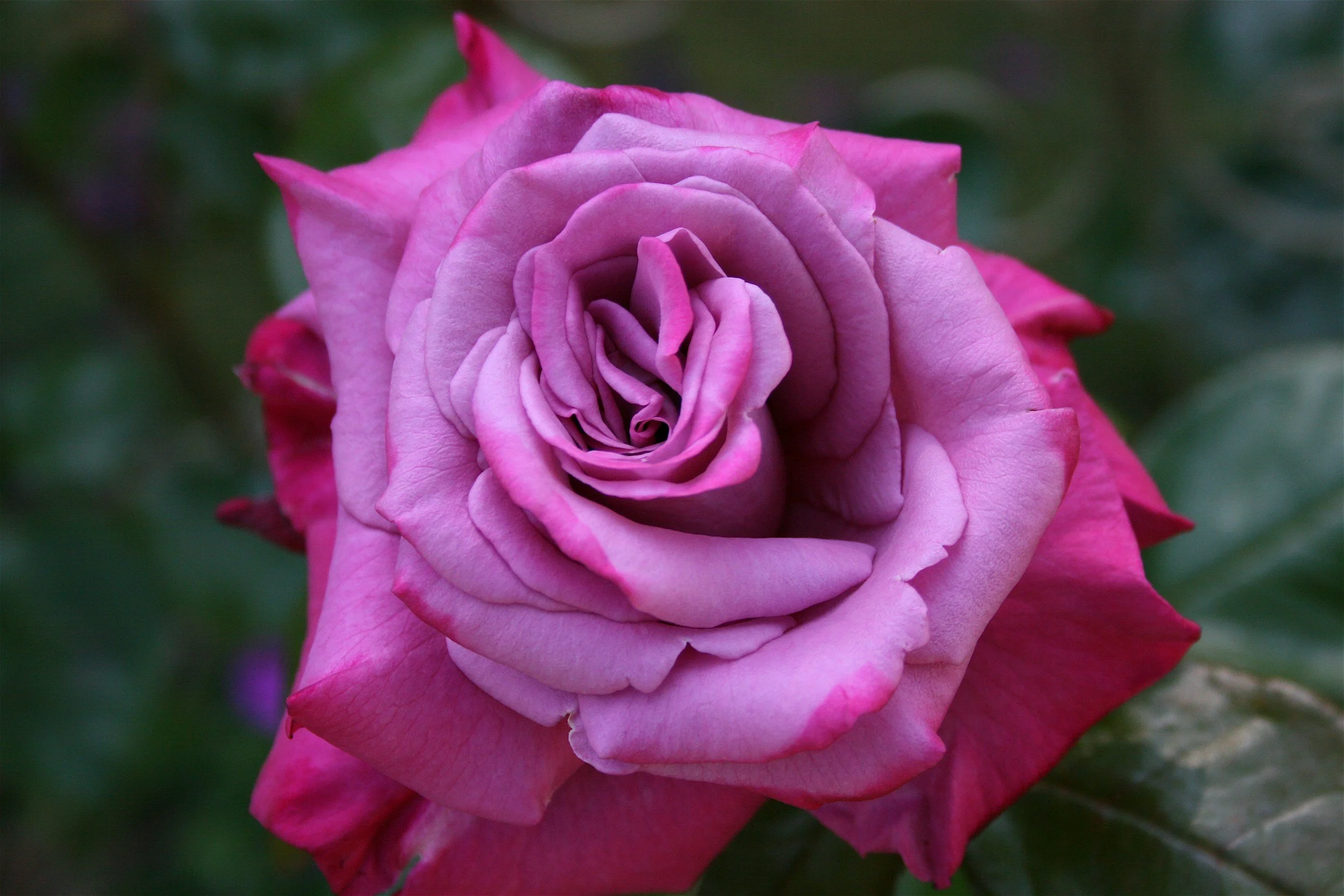 9 Signs That You’re Abandoning Yourself