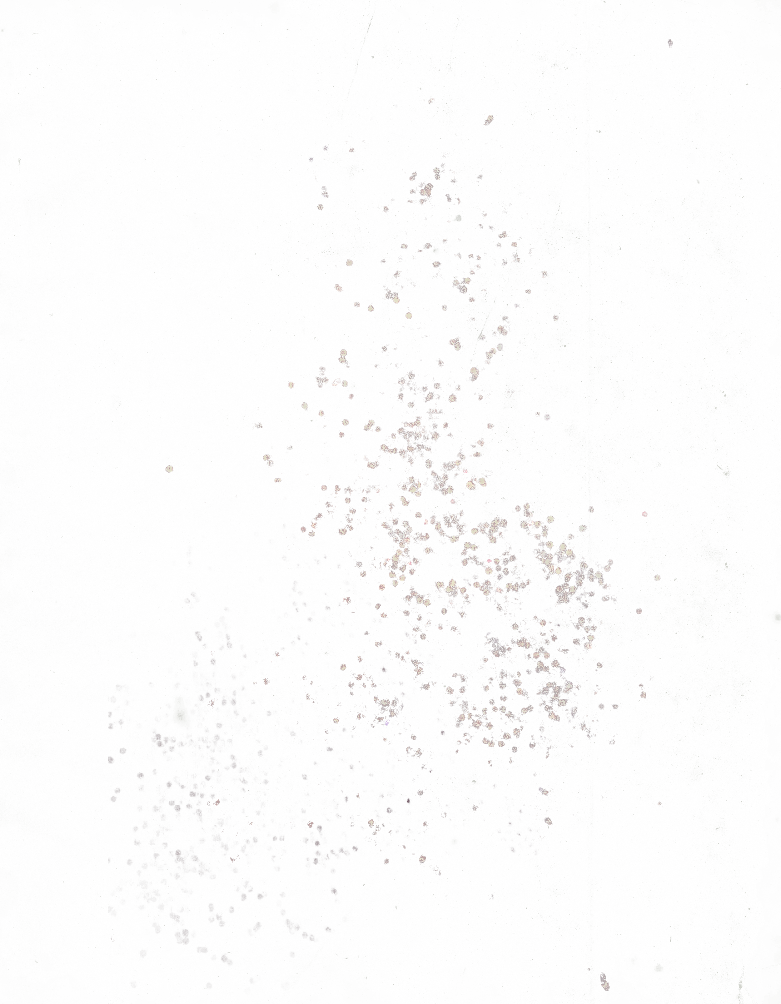 Close-up photo of glitter on a dark surface, showing various sizes and colors of sparkling particles.