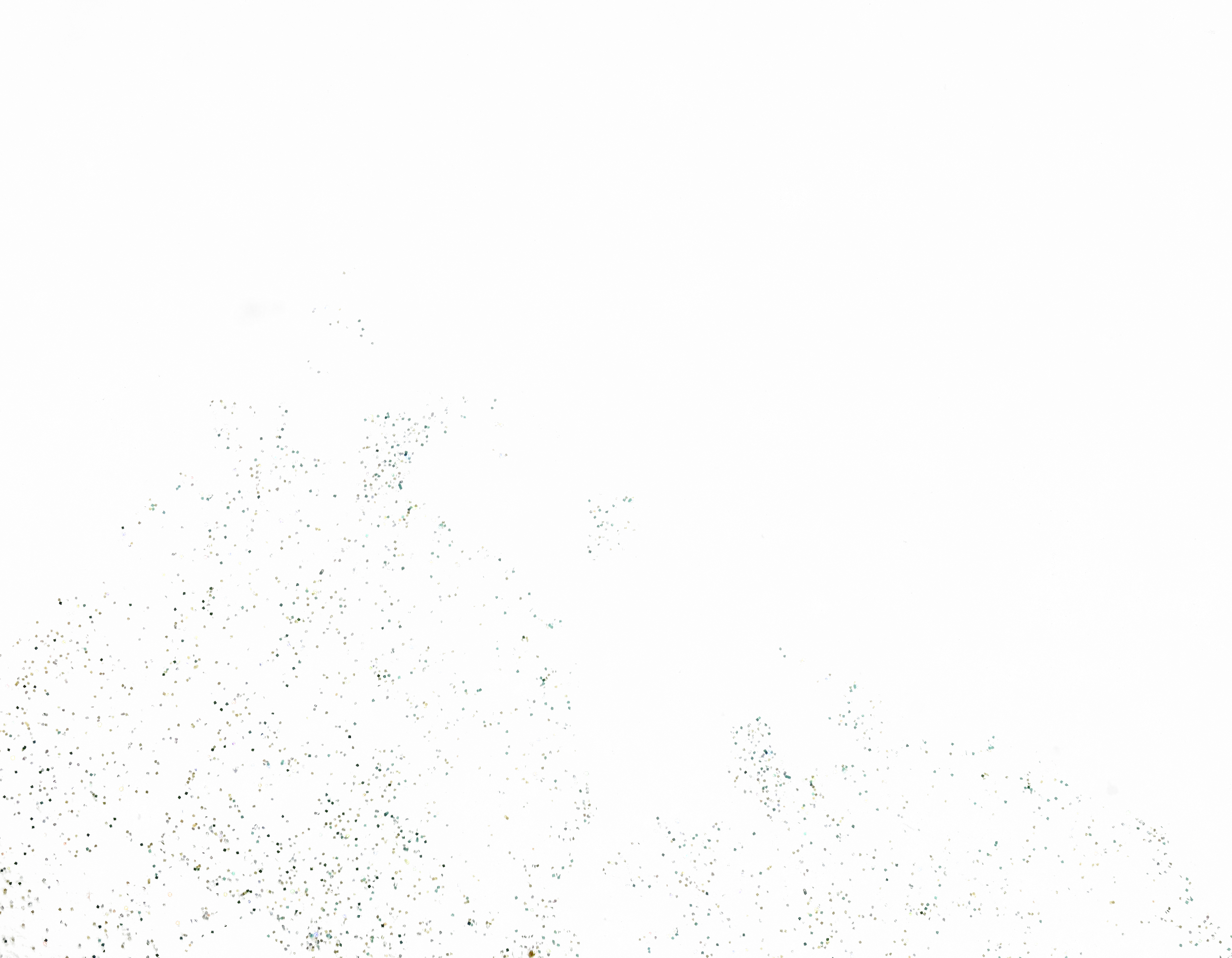 Close-up of a surface covered with black specks and small shiny particles, resembling glitter or tiny debris.