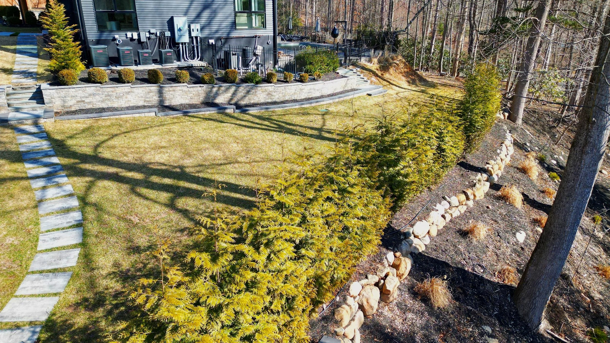 Backyard with stone pathway, grass lawn, row of trees, and forested area with trees on slope.