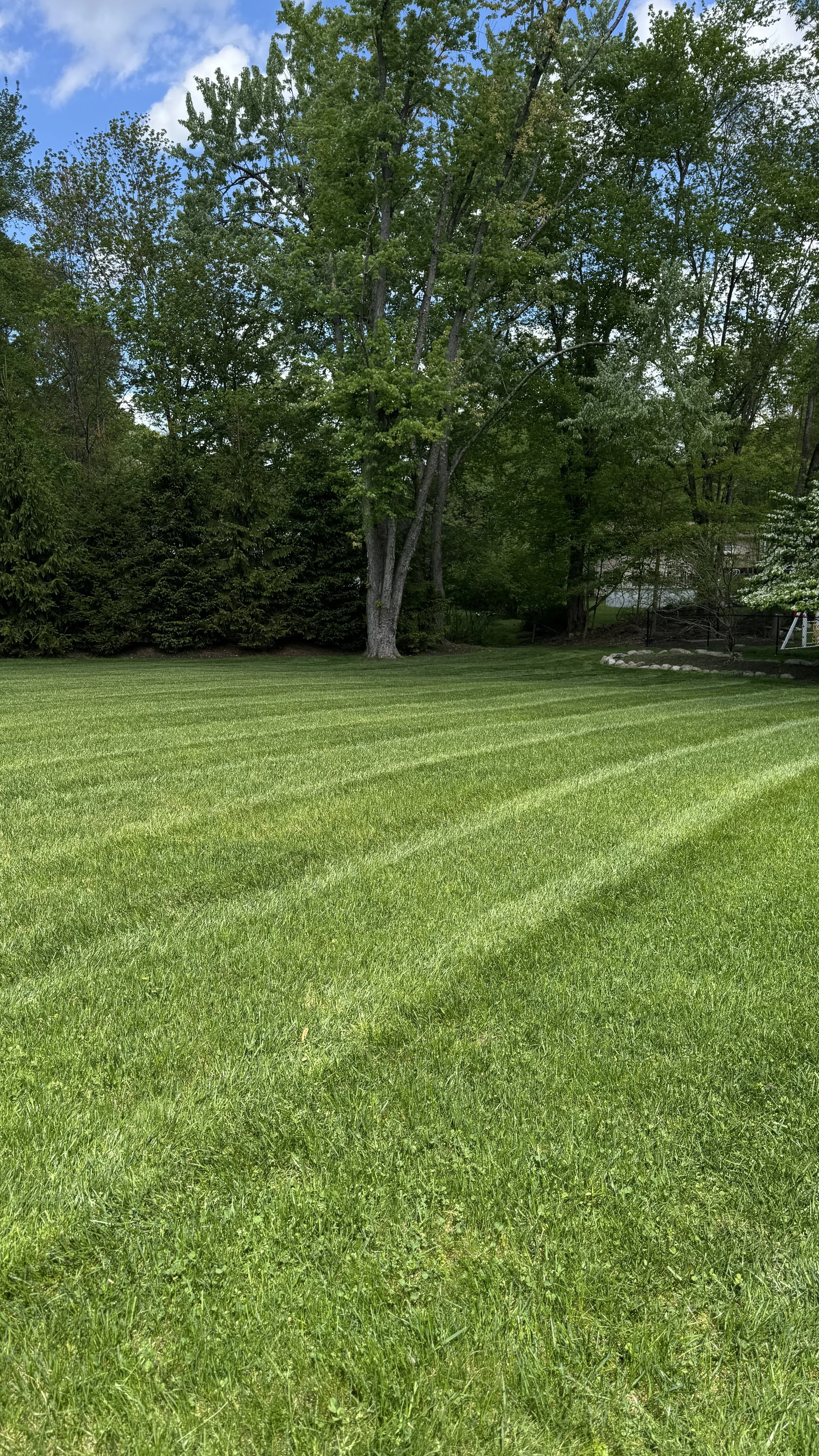 A well-maintained grassy lawn with parallel mowing lines, bordered by trees and shrubs, under a partly cloudy sky.