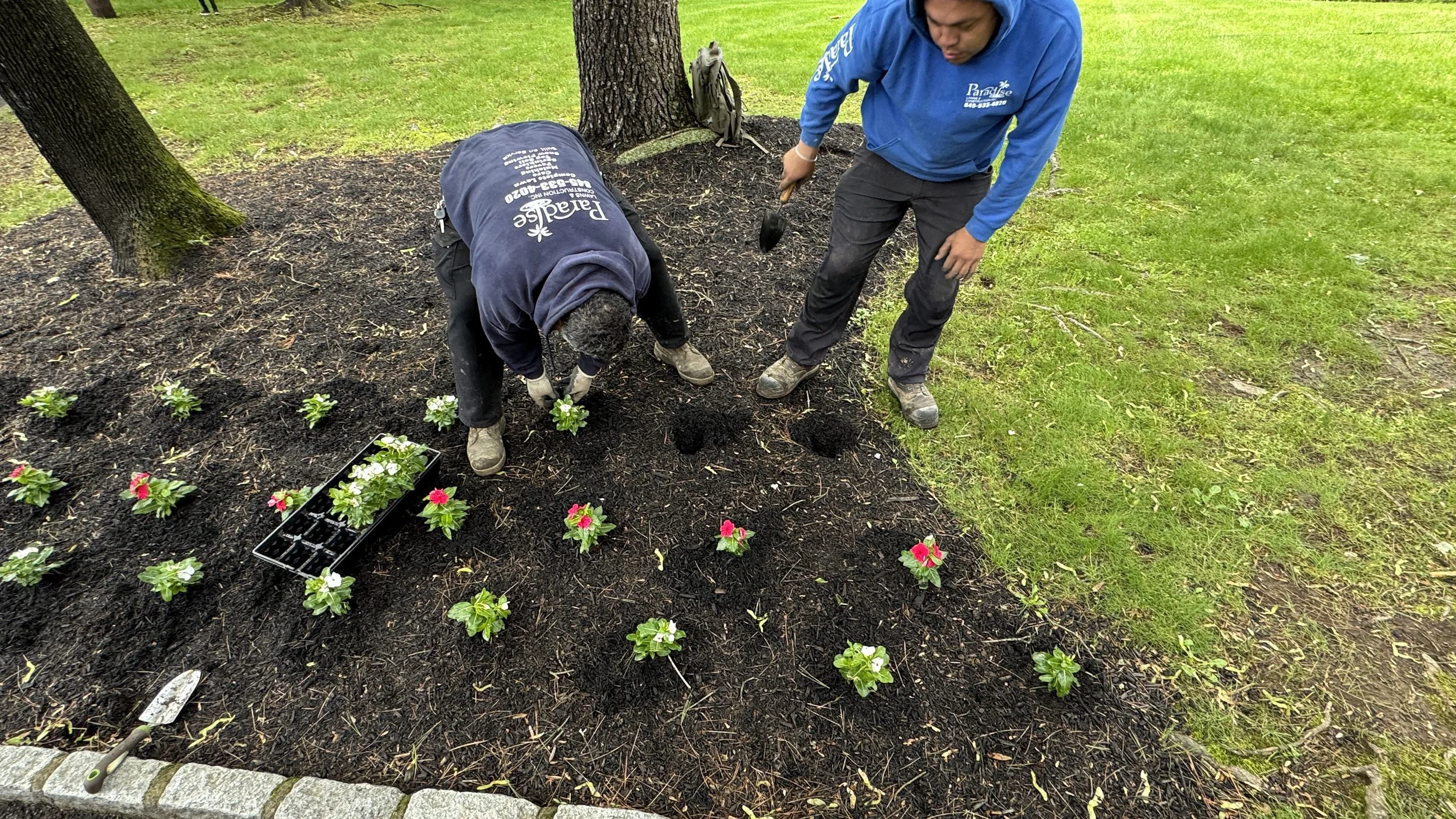 Two people planting flowers in a garden bed, with one kneeling and planting, and the other standing with a trowel, surrounded by mature trees and a lush green lawn.