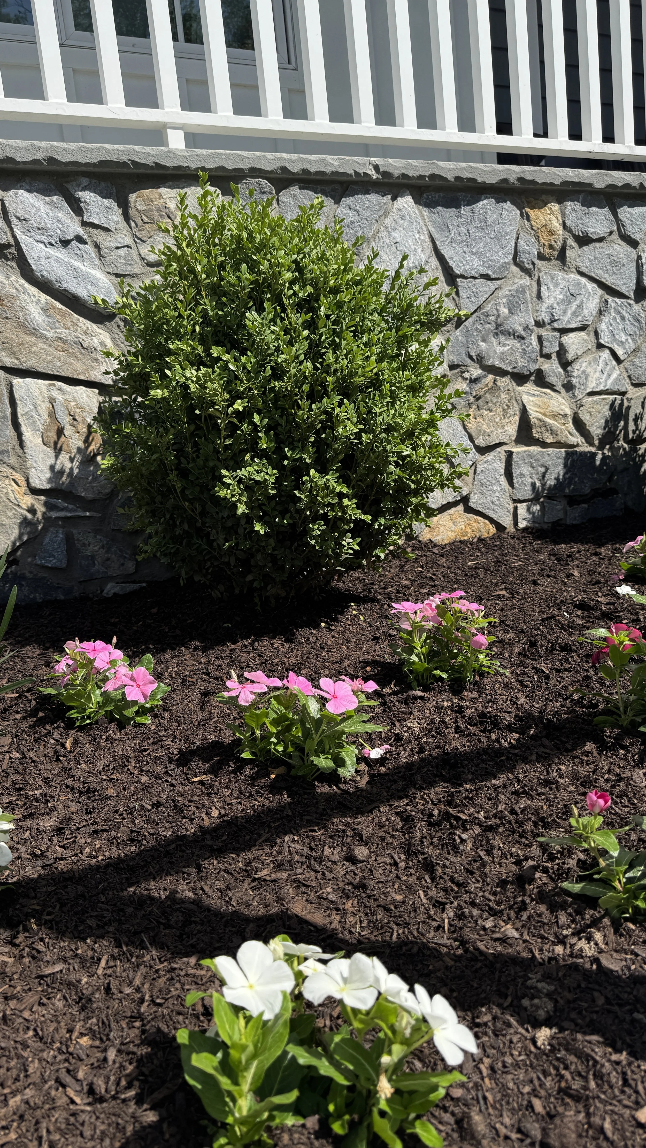 A landscaped garden bed with pink and white flowers, a green shrub, a stone retaining wall, and a white railing above.
