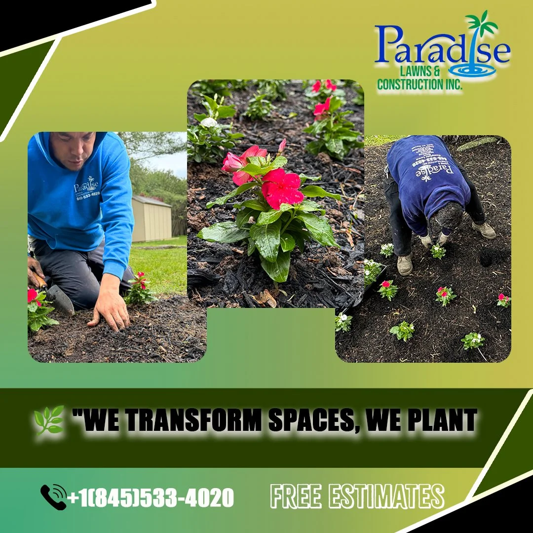 Workers planting pink flowers and mulching in a garden bed with green grass in the background, promoting Paradise Lawns & Construction Inc. with contact information and a slogan about transforming spaces by planting.