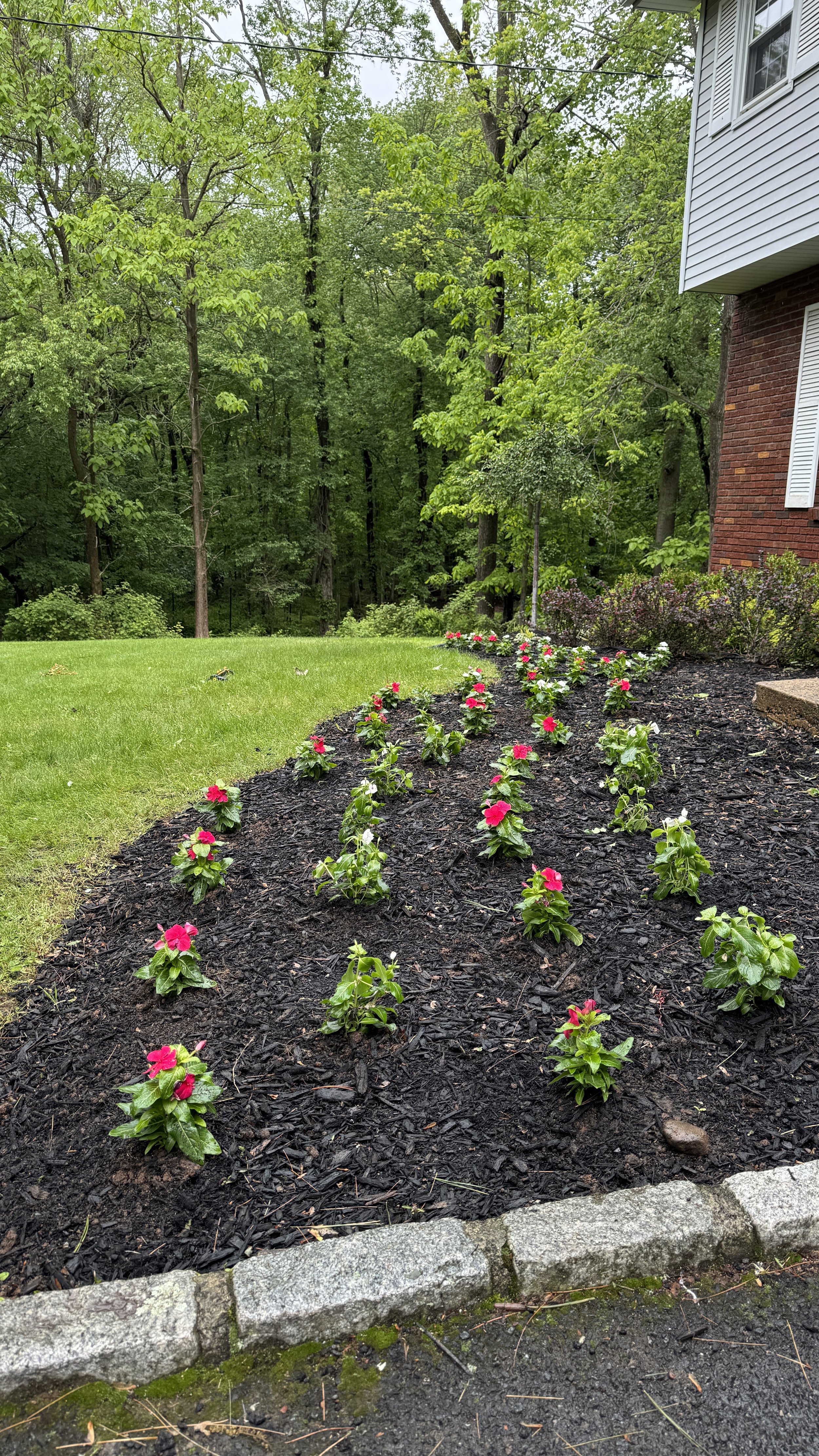 A garden bed with pink and white flowering plants, surrounded by a stone border, next to a red brick house with white siding, lush green trees in the background.